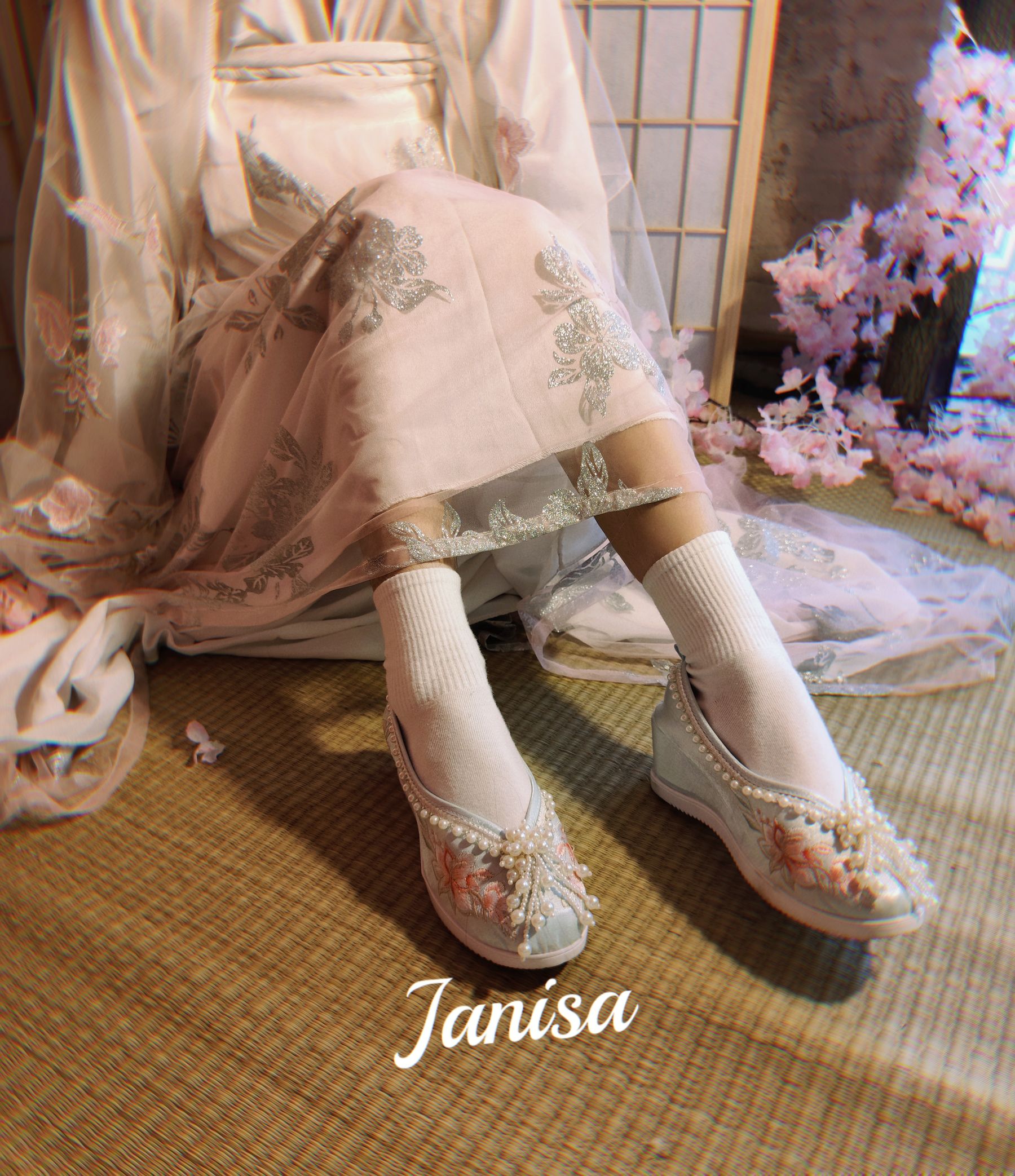 Janisa - 朝花向晚 