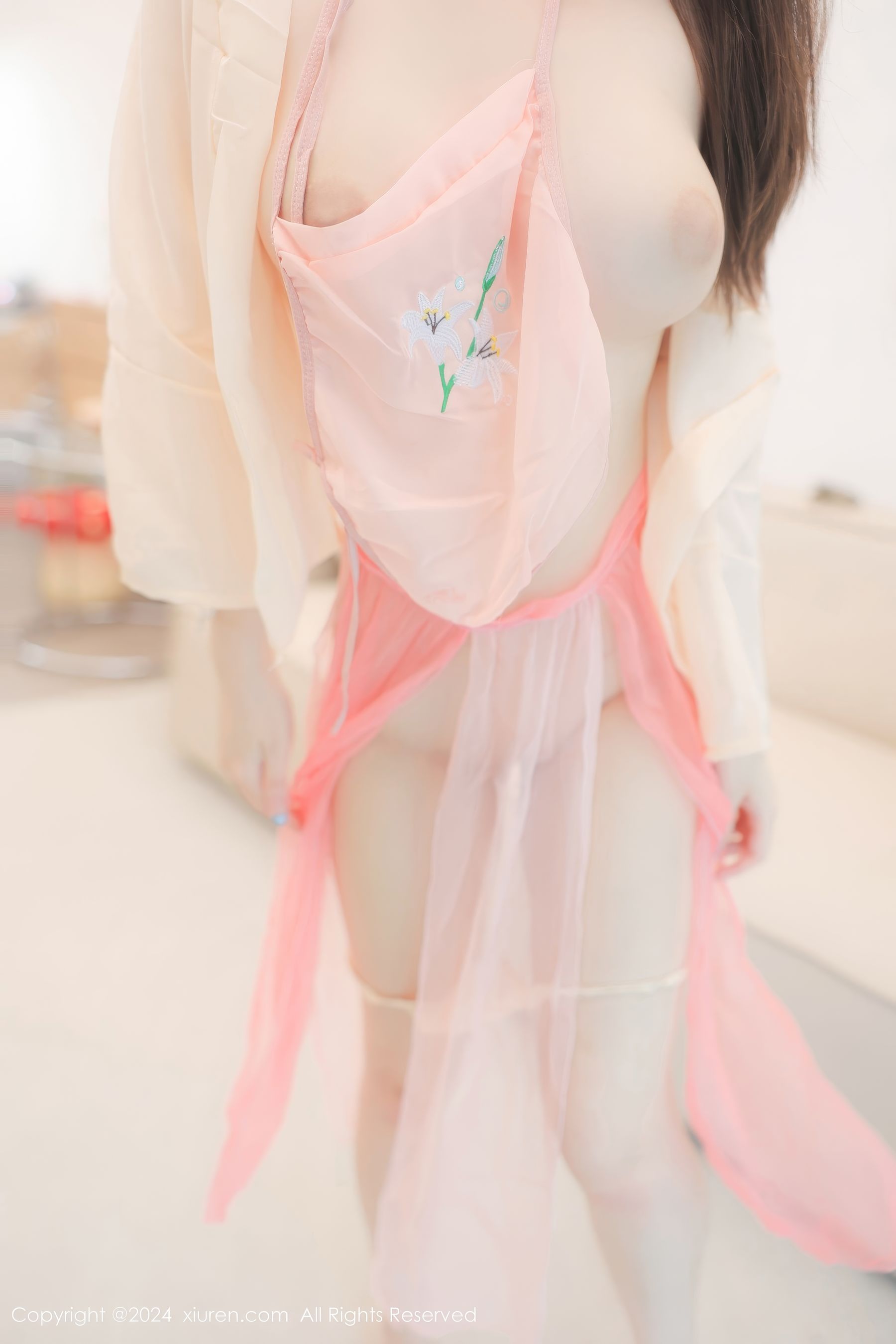 View - [XiuRen] 2024.07.24 No.8906 软软酱 - 图库库