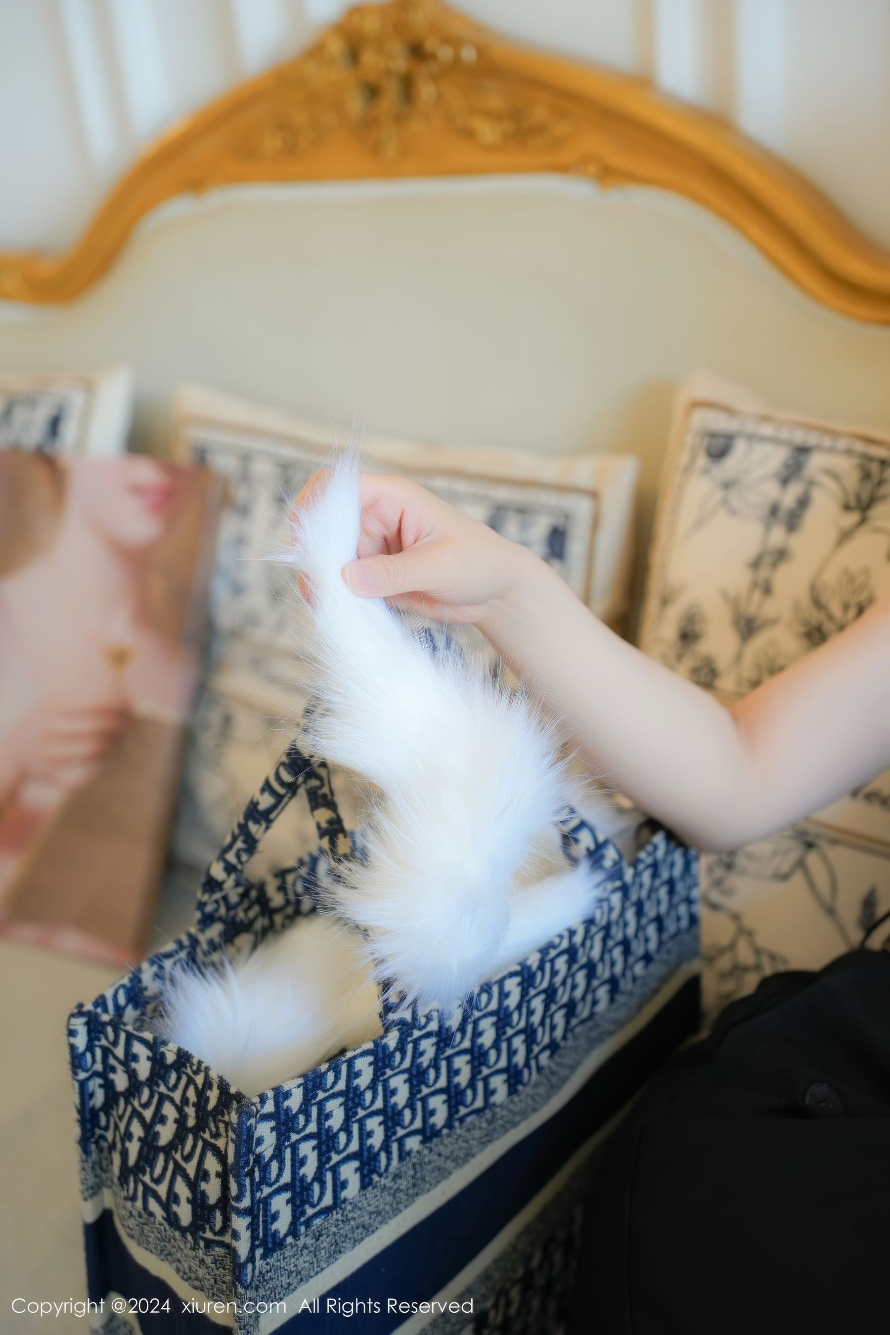 View - [XiuRen] 2024.08.02 No.8955 喵喵JOJO - 图库库