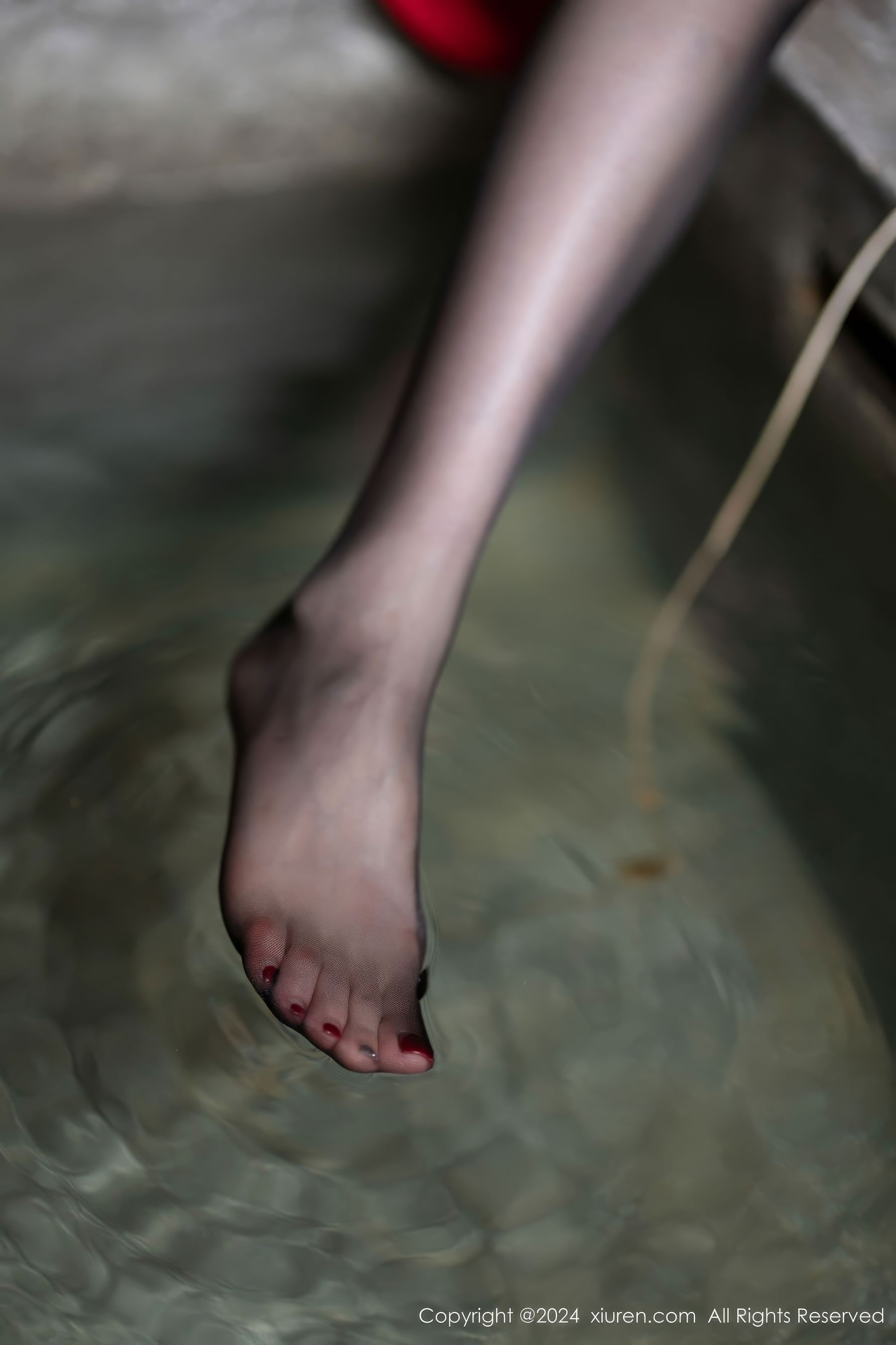 [秀人XiuRen] 2024.10.15 No.9291 梦心玥/(84P)