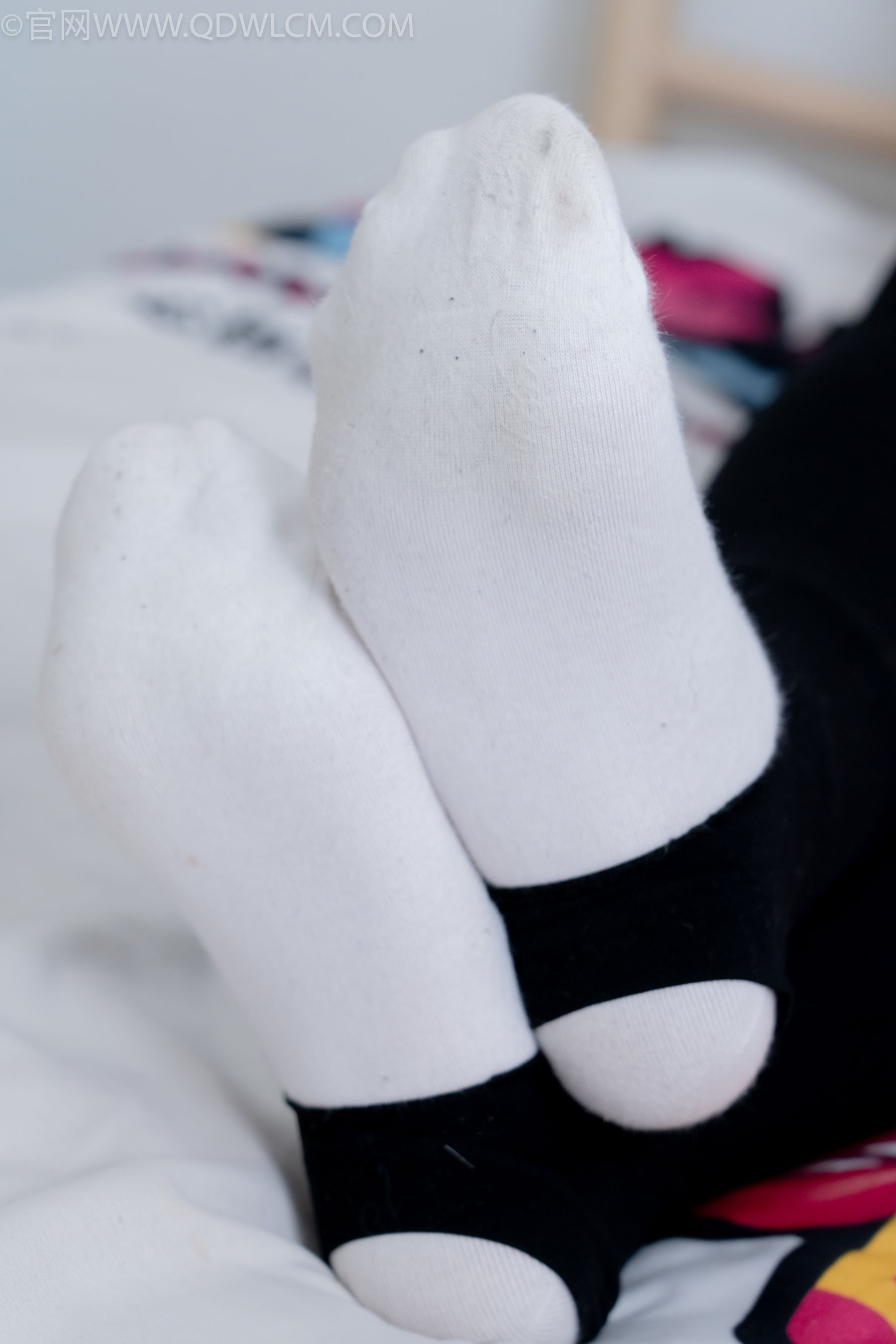 物恋传媒 No.2185 泡泡 - 朝暮与春秋/(172P)