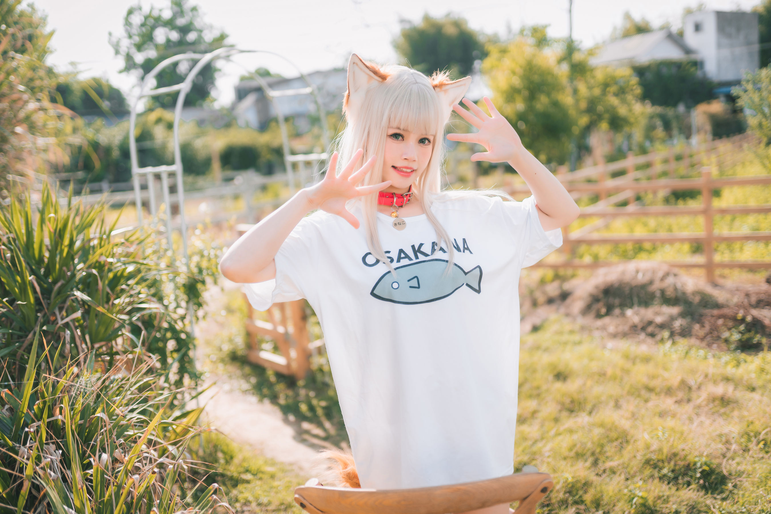 千反田鹿子 - 黄豆粉/(43P)