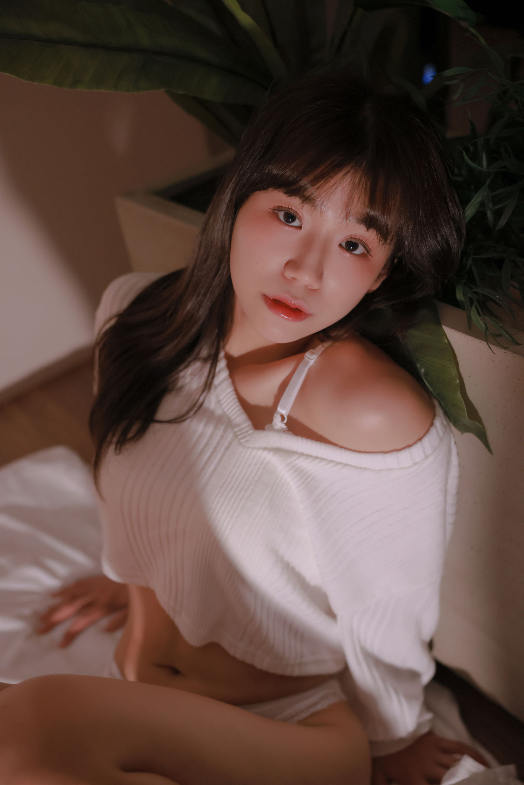 [SWEETBOX] YUI - Vol.49 Thru Thru/(117P)