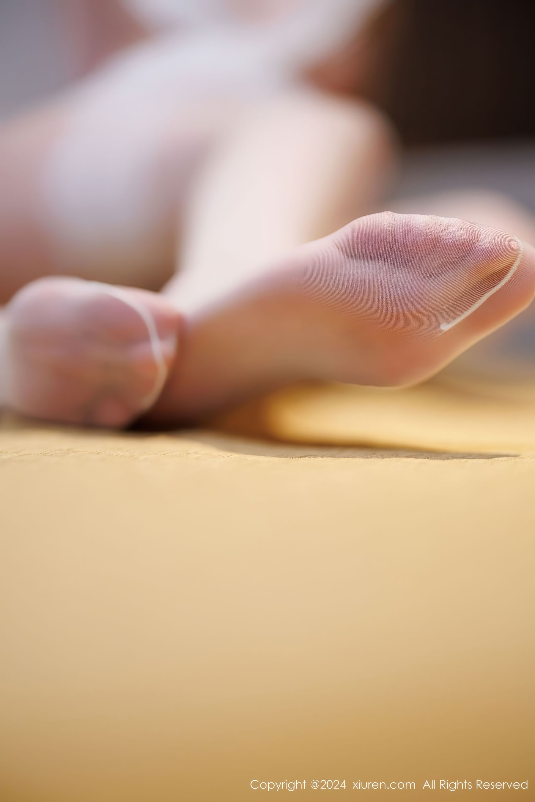 [秀人XiuRen] 2024.11.29 No.9526 梦心玥/(86P)