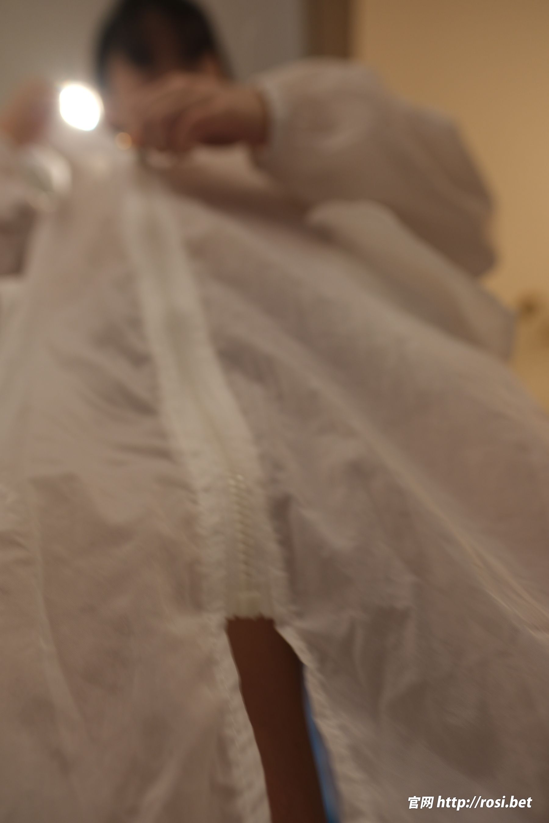 [ROSI写真] 2024.12.23 NO.4767/(96P)