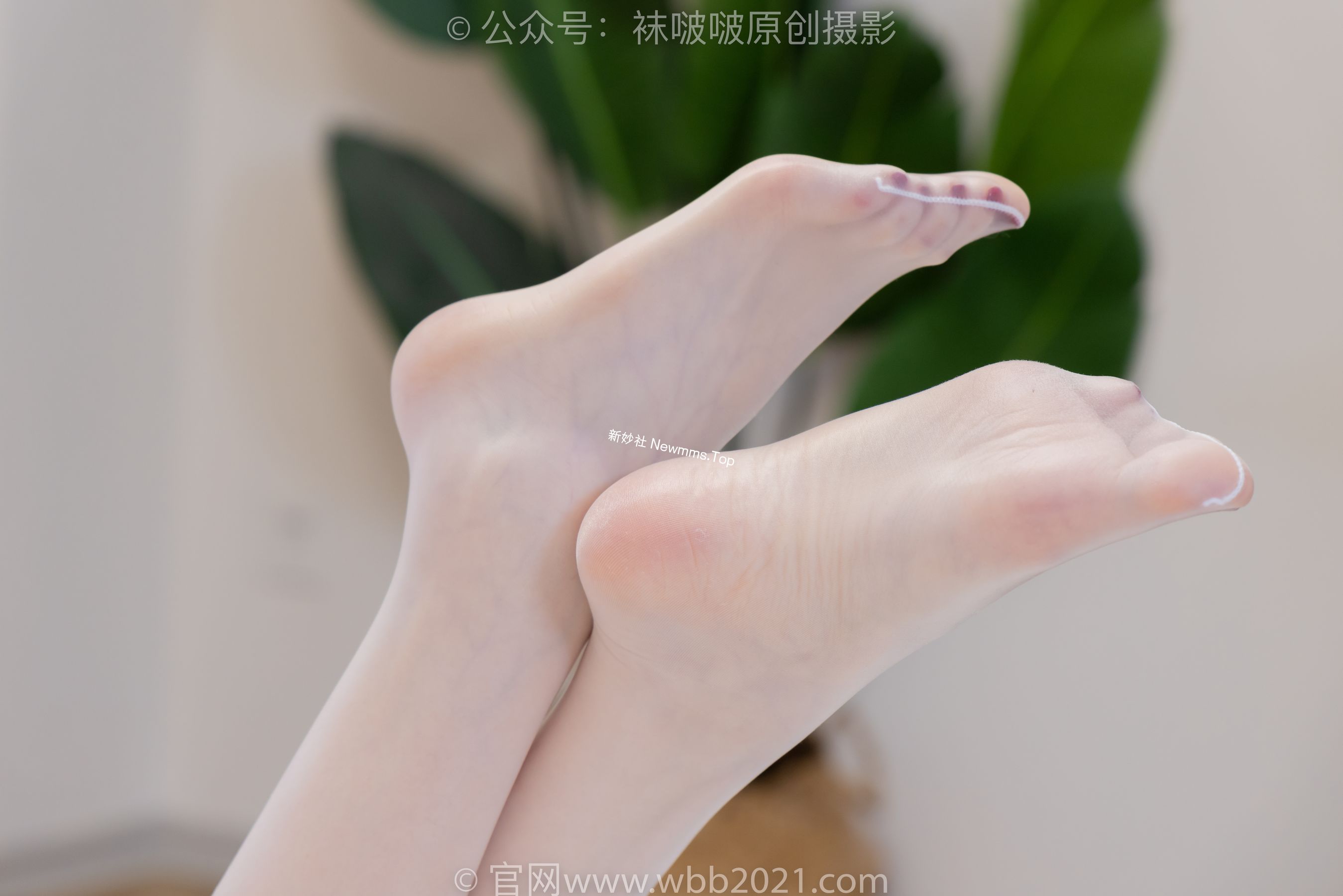 BoBoSocks袜啵啵 No.469 小甜豆 - 高跟鞋、油亮白丝、油亮肉丝、油亮黑丝、小甜豆手写祝福圣诞牌剧情/(188P)