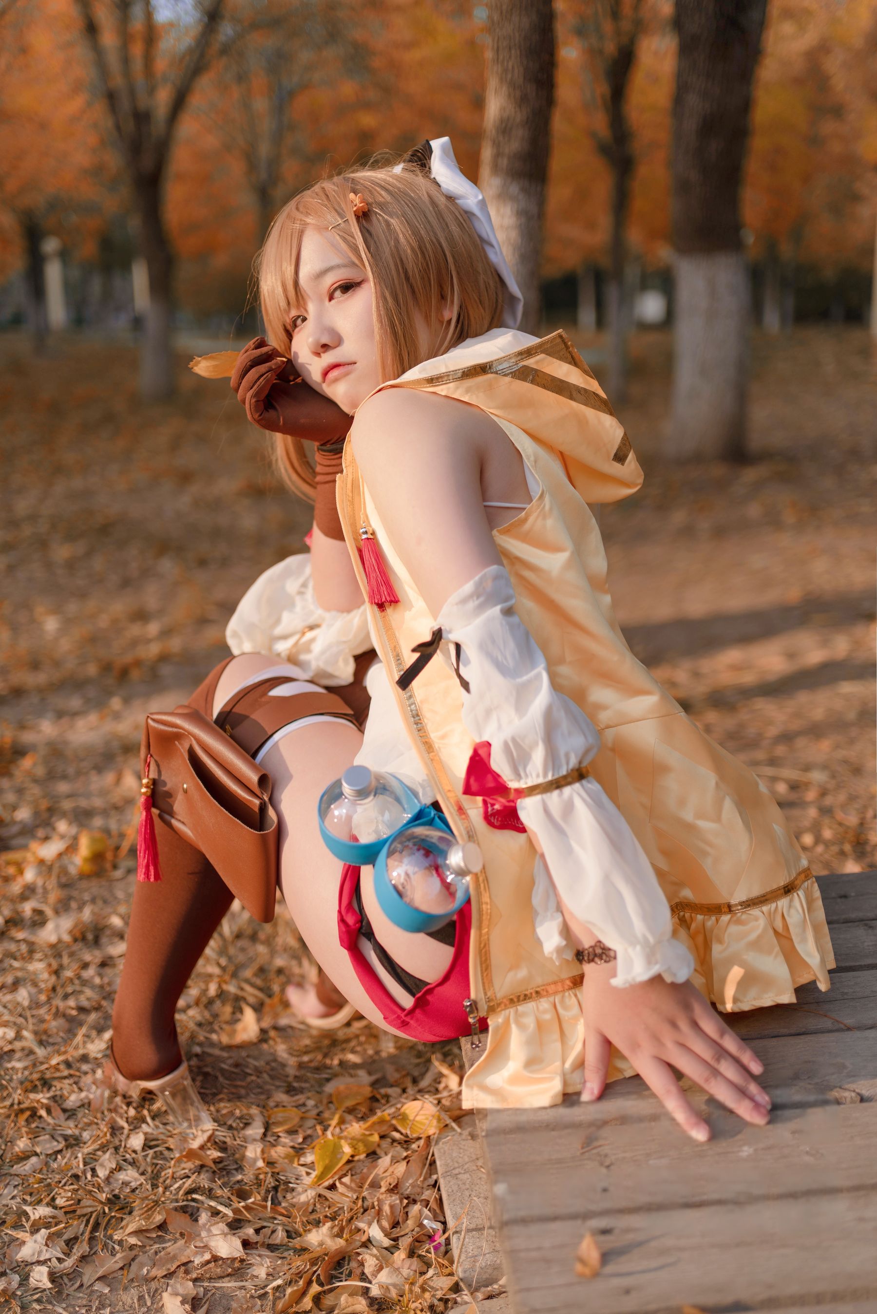 阿半今天很开心 - 莱莎的炼金工房 莱莎/(29P)