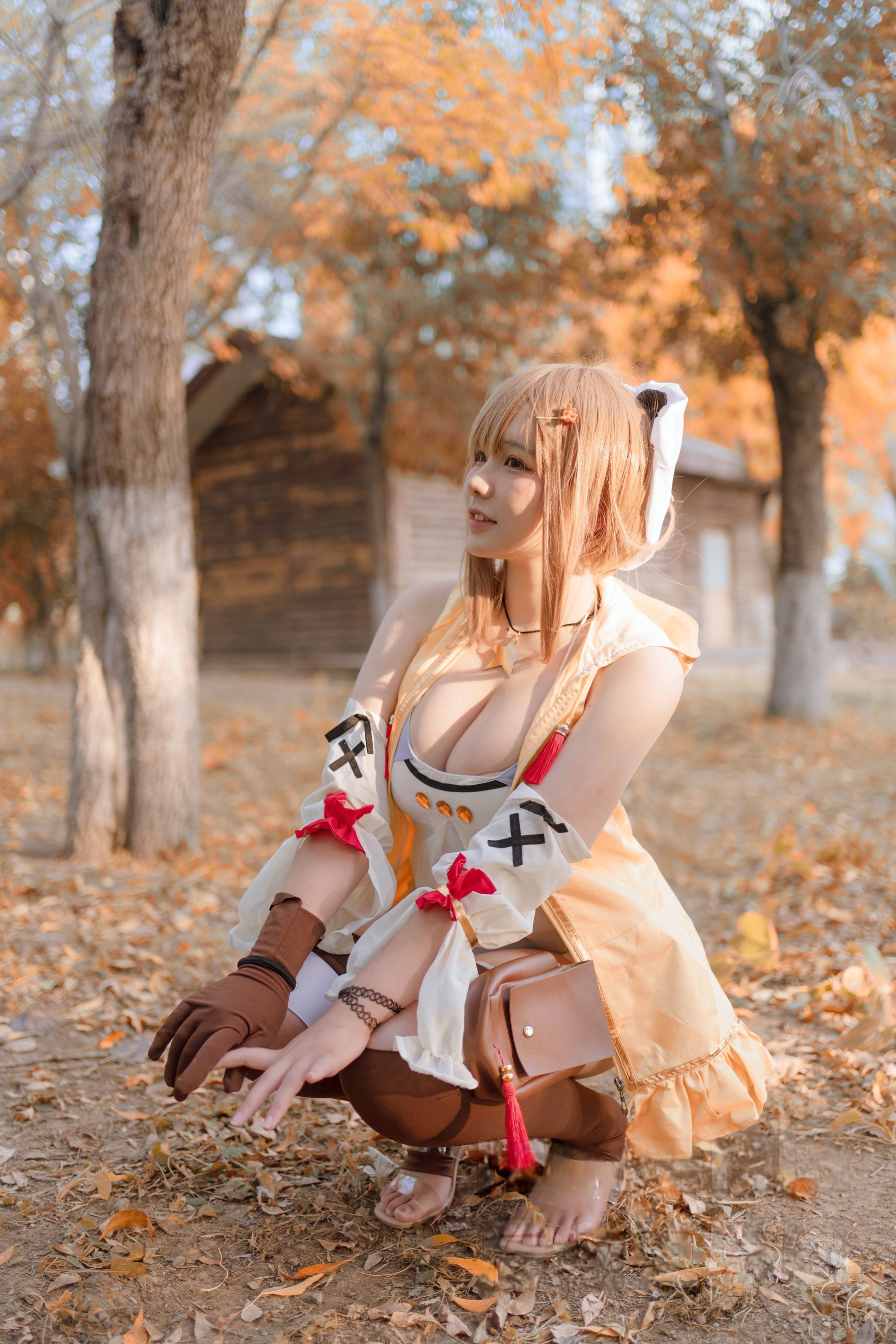 阿半今天很开心 - 莱莎的炼金工房 莱莎/(29P)