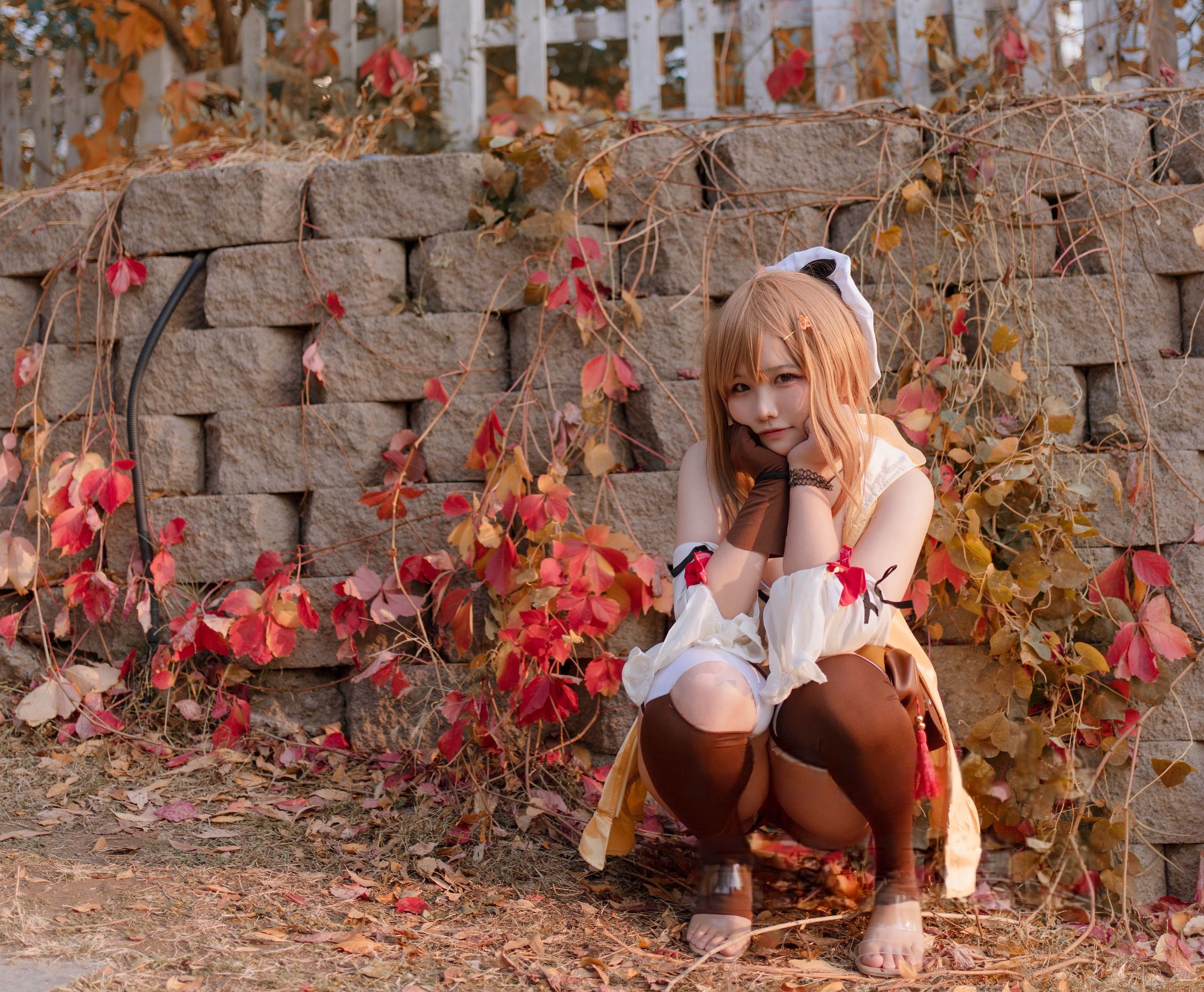 阿半今天很开心 - 莱莎的炼金工房 莱莎/(29P)