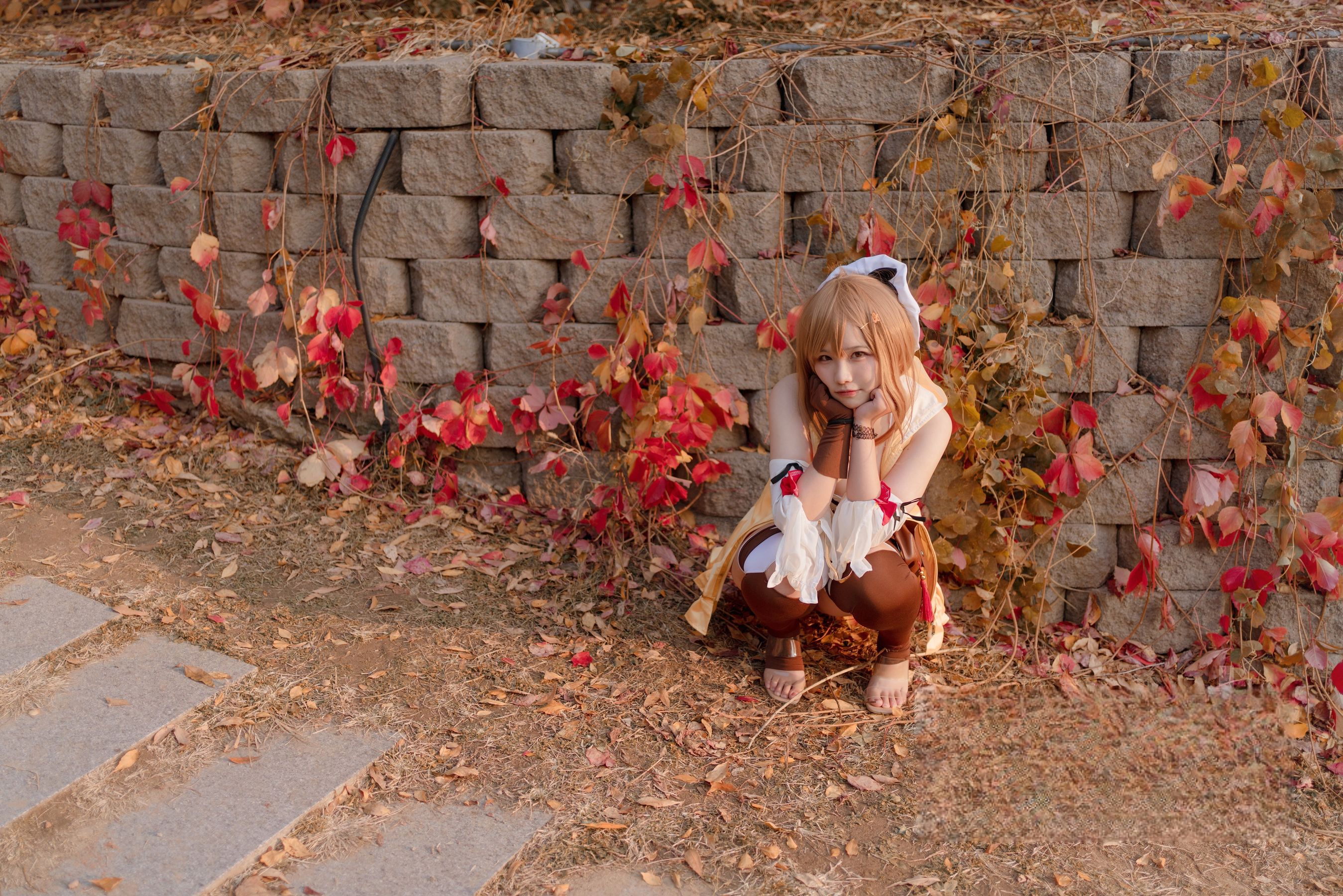 阿半今天很开心 - 莱莎的炼金工房 莱莎/(29P)