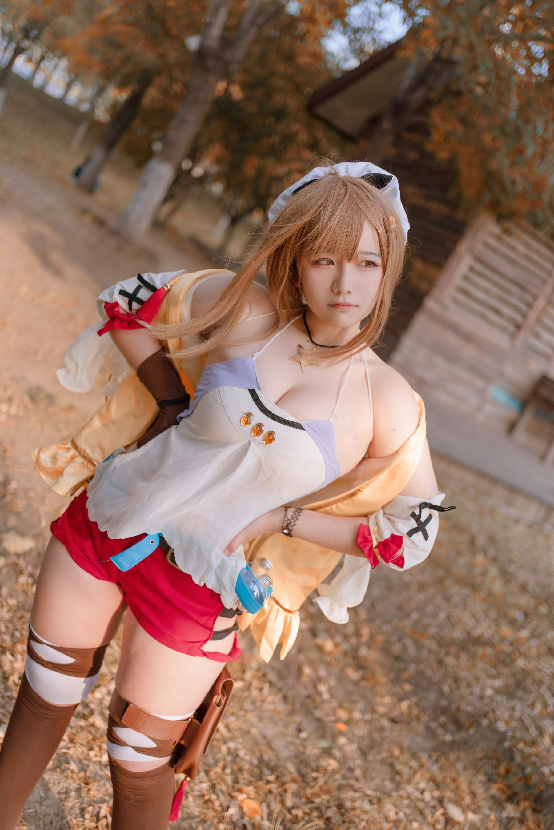 阿半今天很开心 - 莱莎的炼金工房 莱莎/(29P)