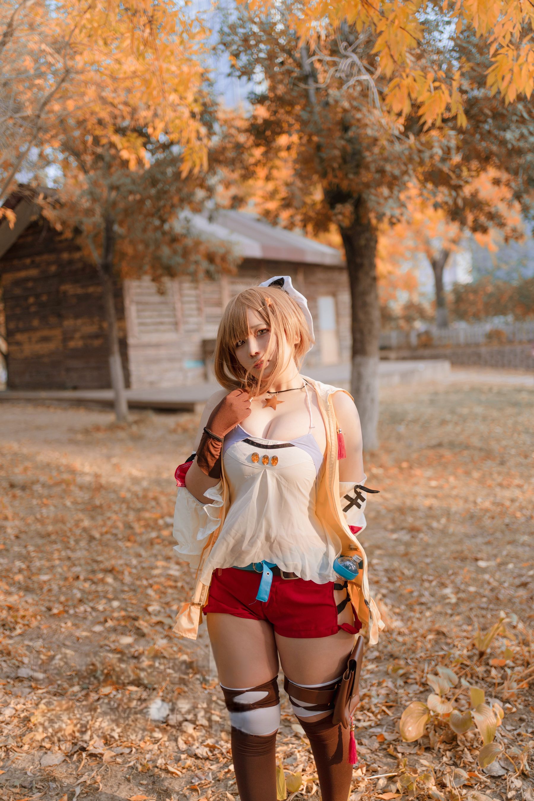 阿半今天很开心 - 莱莎的炼金工房 莱莎/(29P)