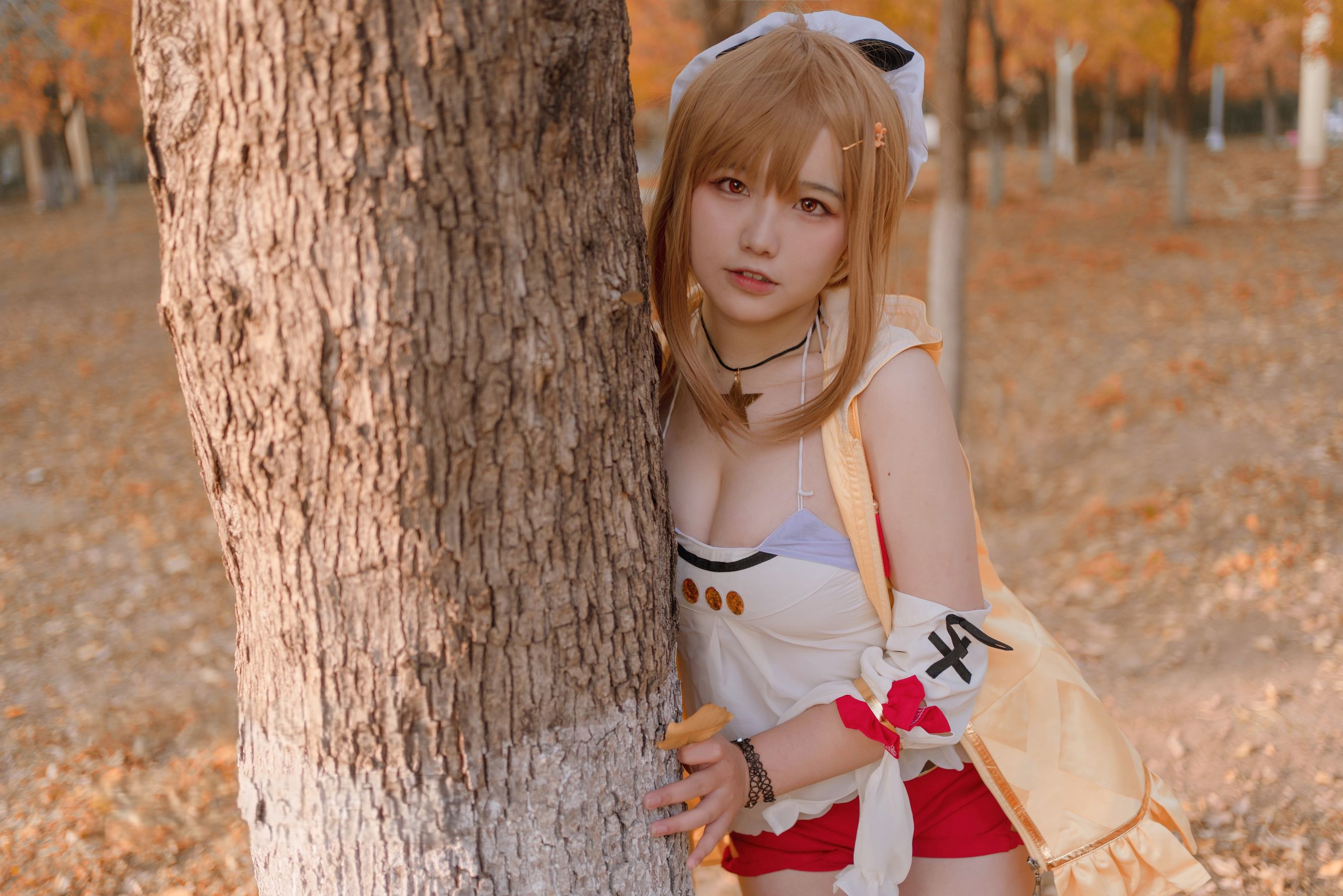 阿半今天很开心 - 莱莎的炼金工房 莱莎/(29P)