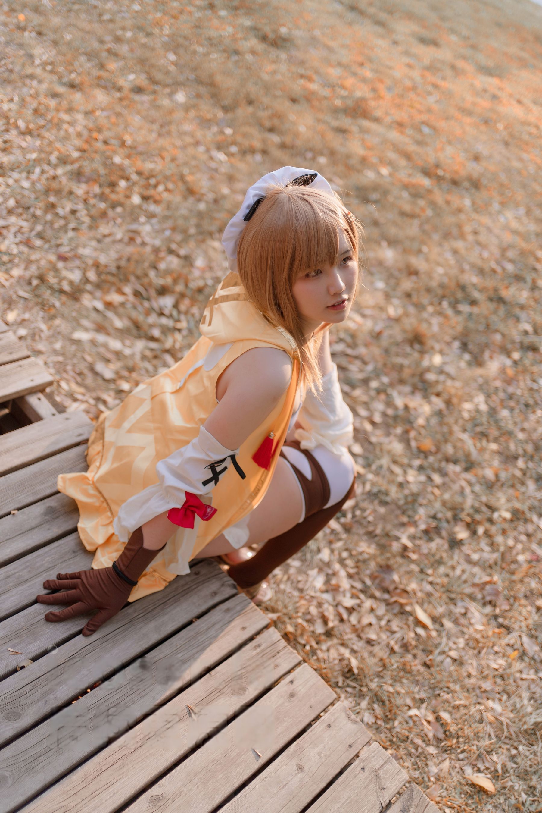 阿半今天很开心 - 莱莎的炼金工房 莱莎/(29P)