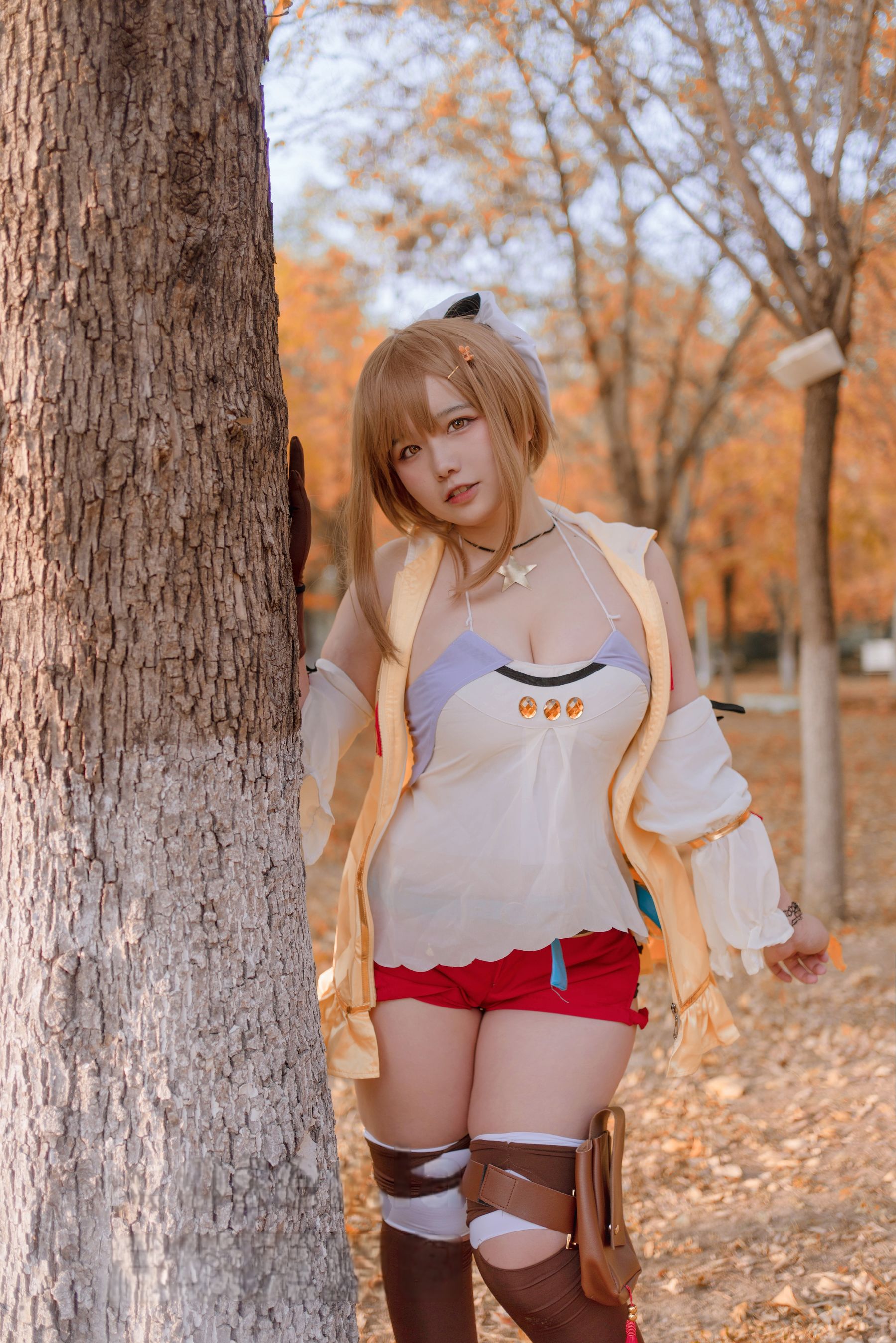 阿半今天很开心 - 莱莎的炼金工房 莱莎/(29P)