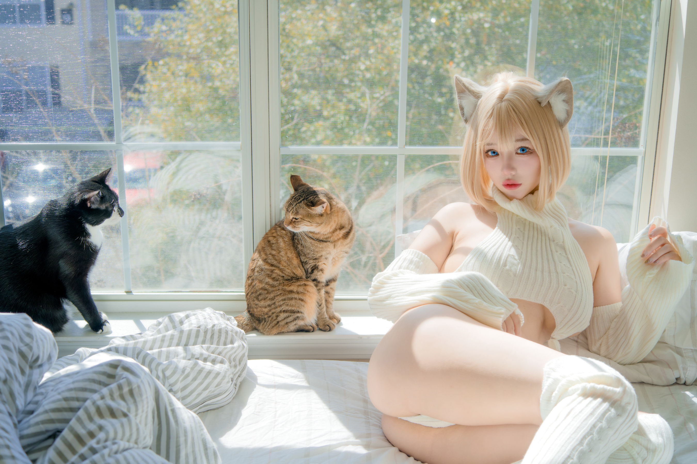 狐洛洛子 - 慵懒白猫/(36P)