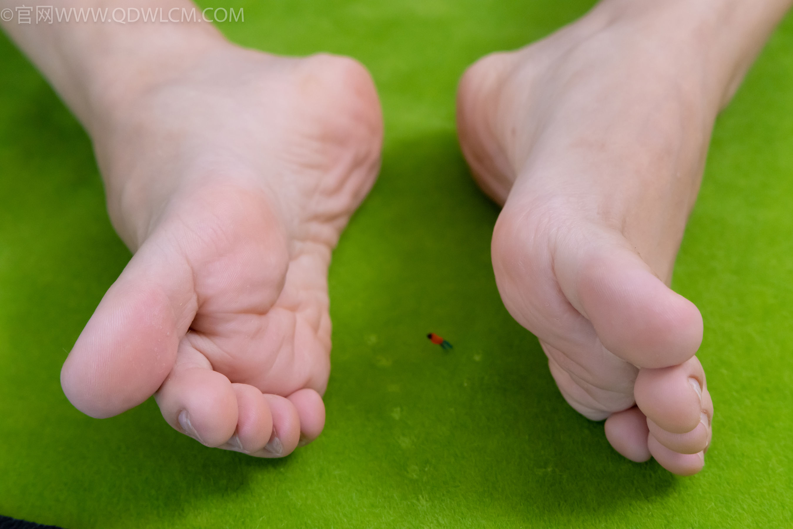 物恋传媒 No.2167 菜菜&米米 -亲密无间/(184P)