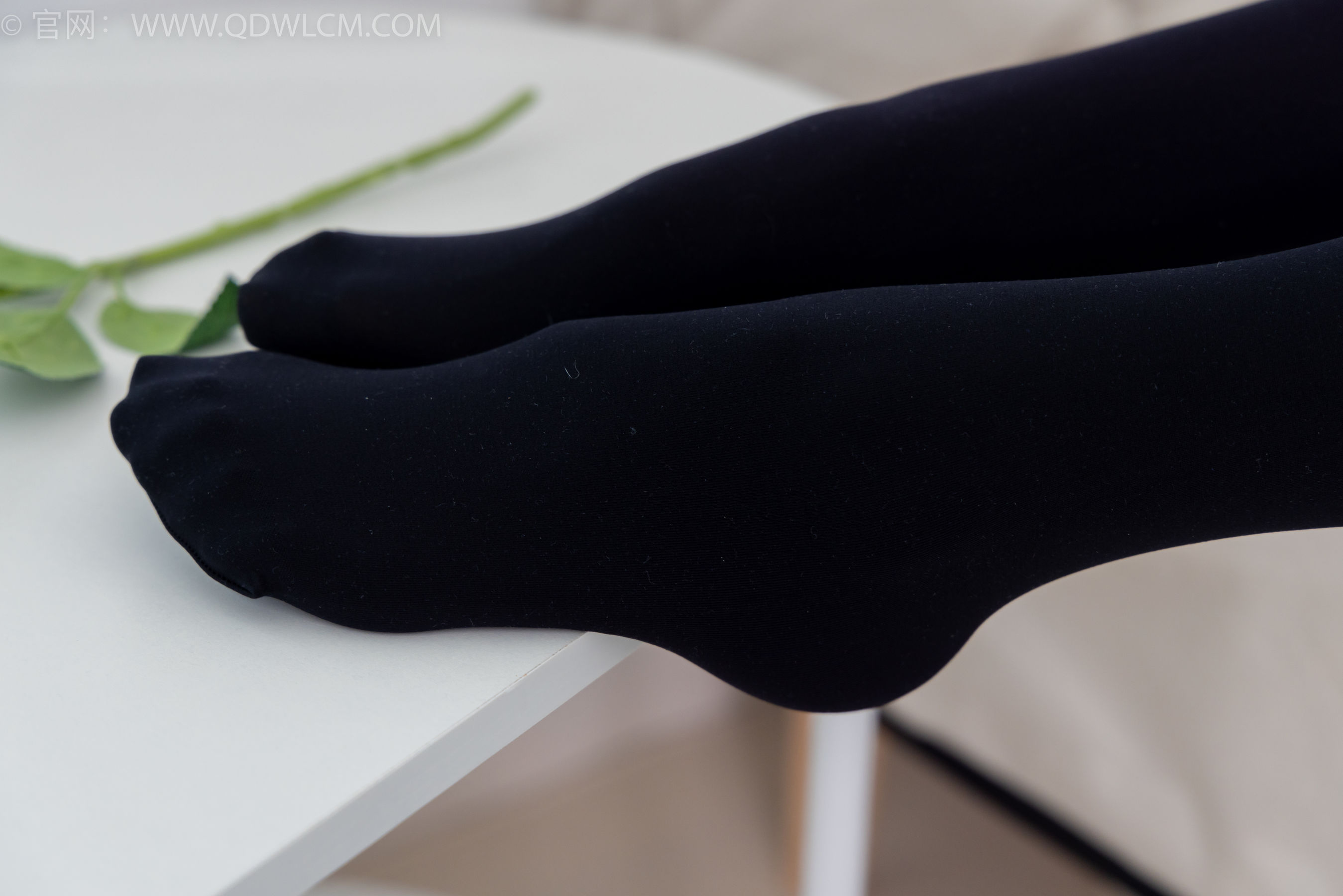 物恋传媒 No.2137 茯苓 -一起出逃/(170P)