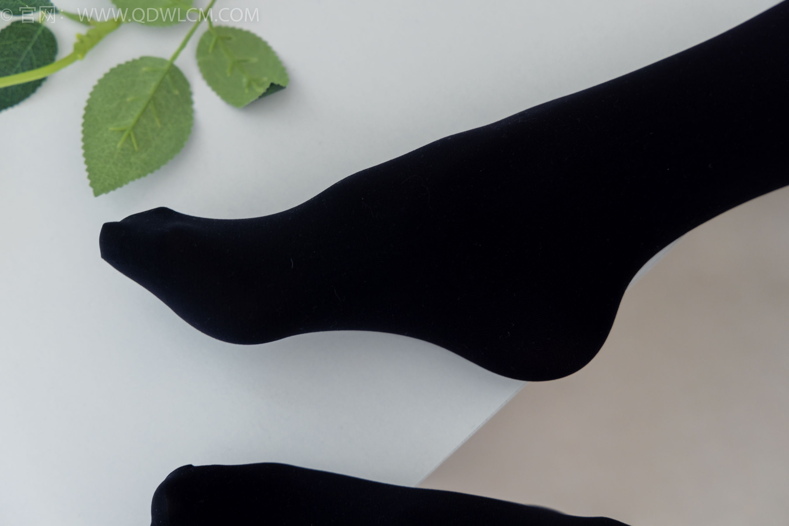 物恋传媒 No.2137 茯苓 -一起出逃/(170P)