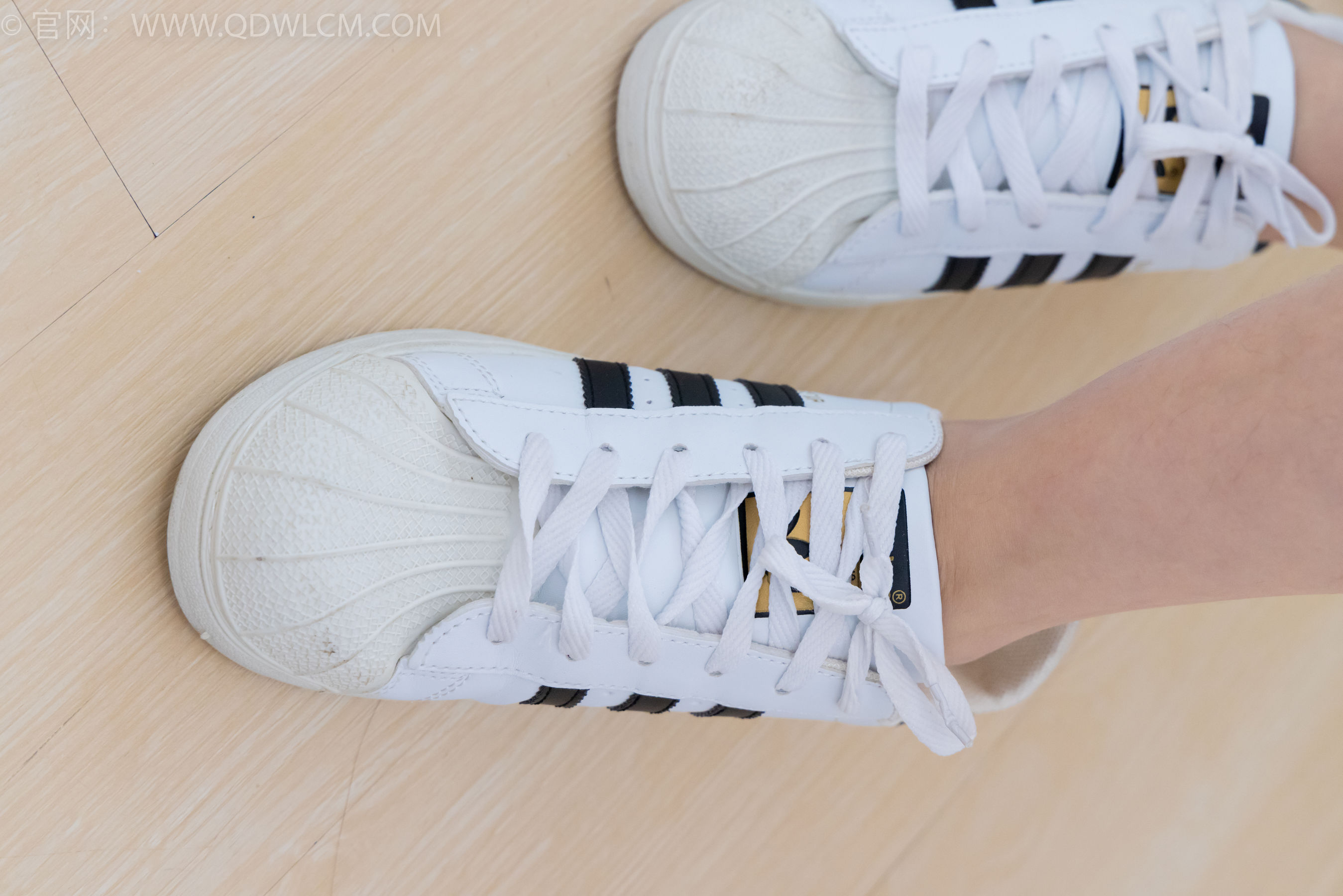 物恋传媒 No.2131 露露 -晨曦露水/(150P)