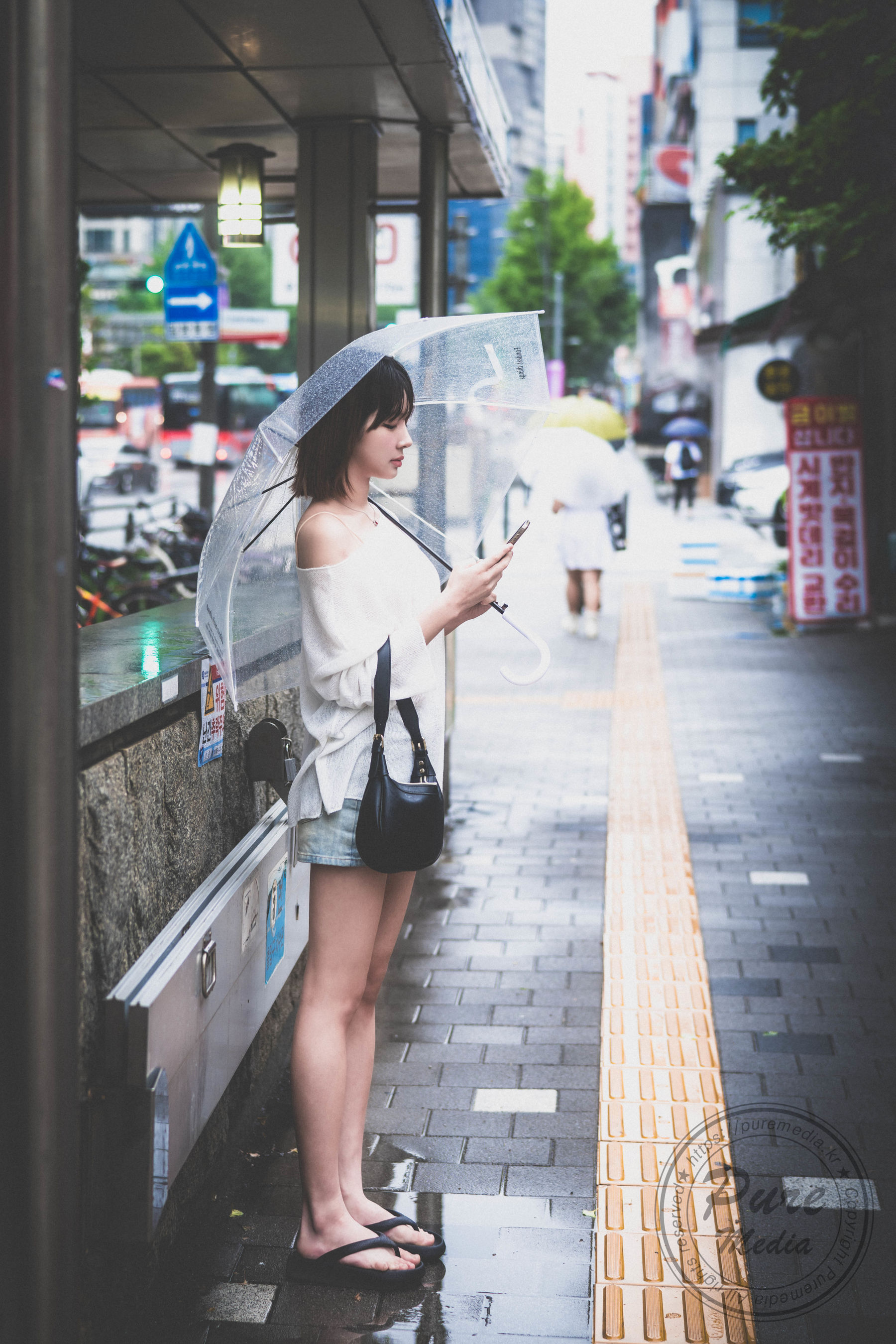 [PURE MEDIA] Vol.299 - Tasha/(82P)