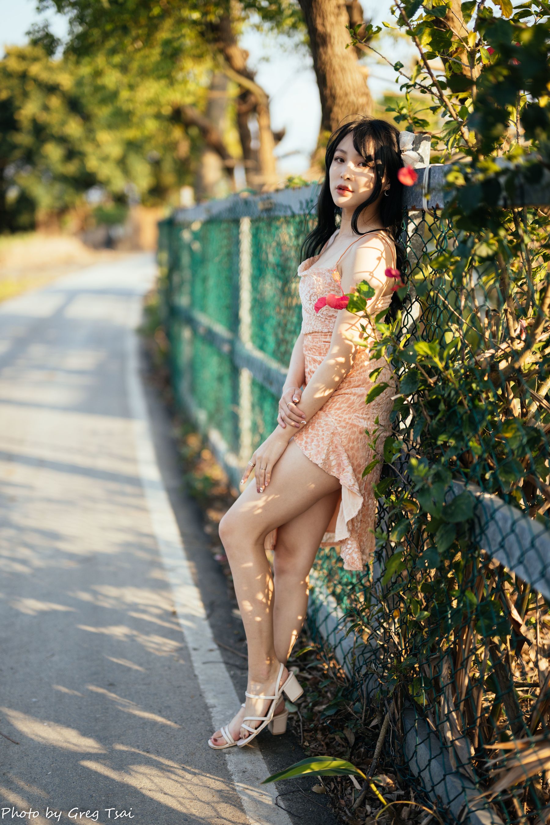 Ashley - 忠义/(87P)