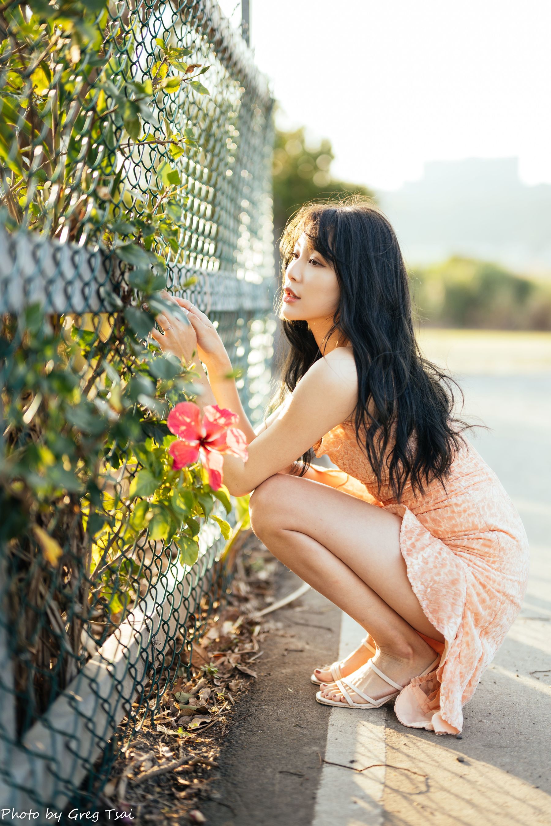 Ashley - 忠义/(87P)