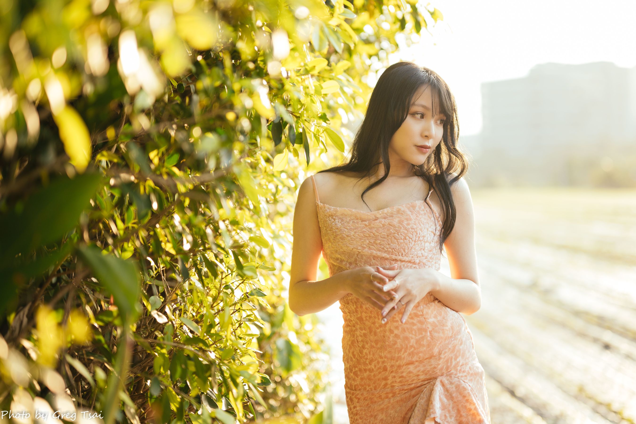 Ashley - 忠义/(87P)