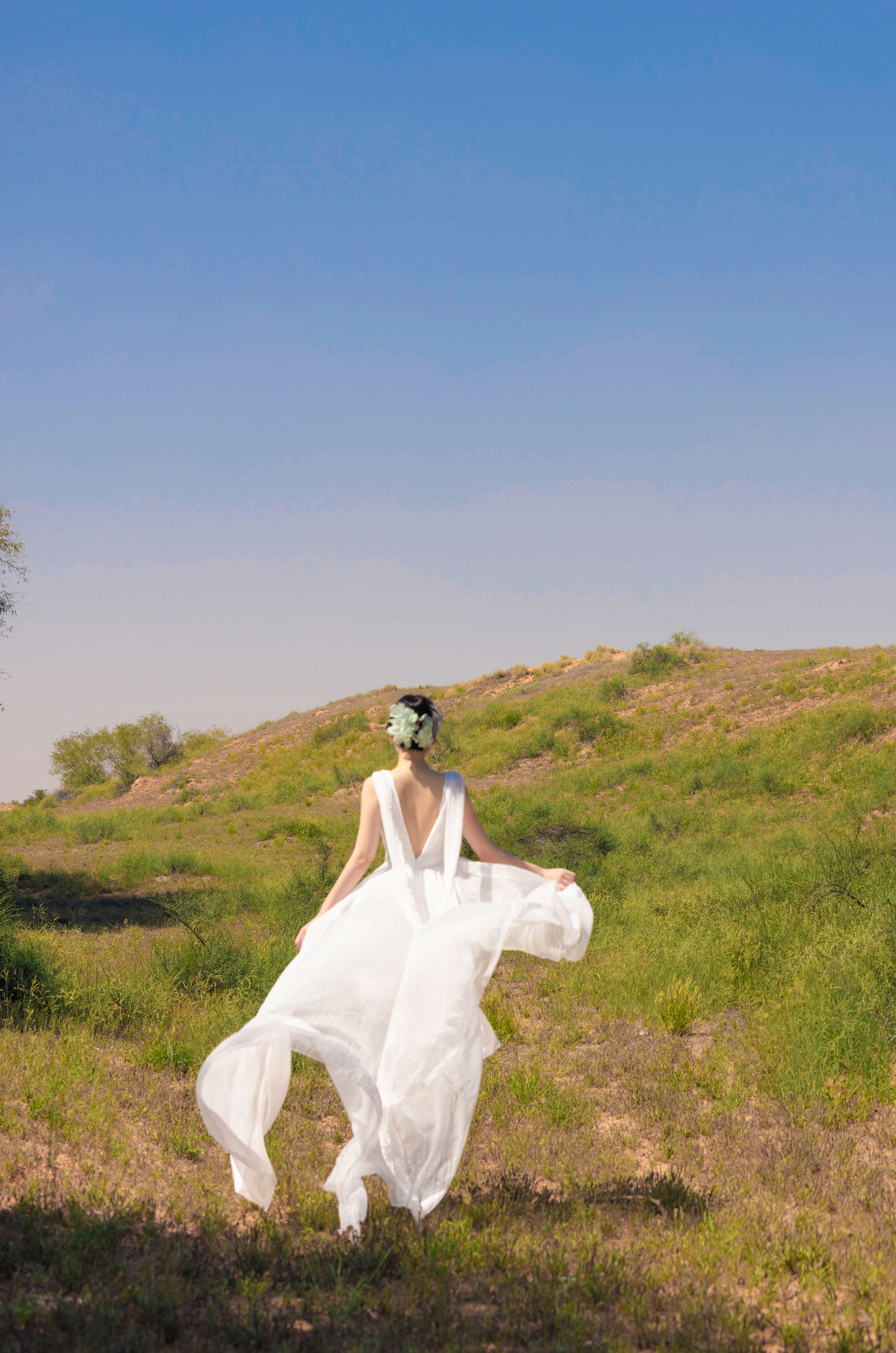 鱼子酱 沙漠之花写真/(50P)