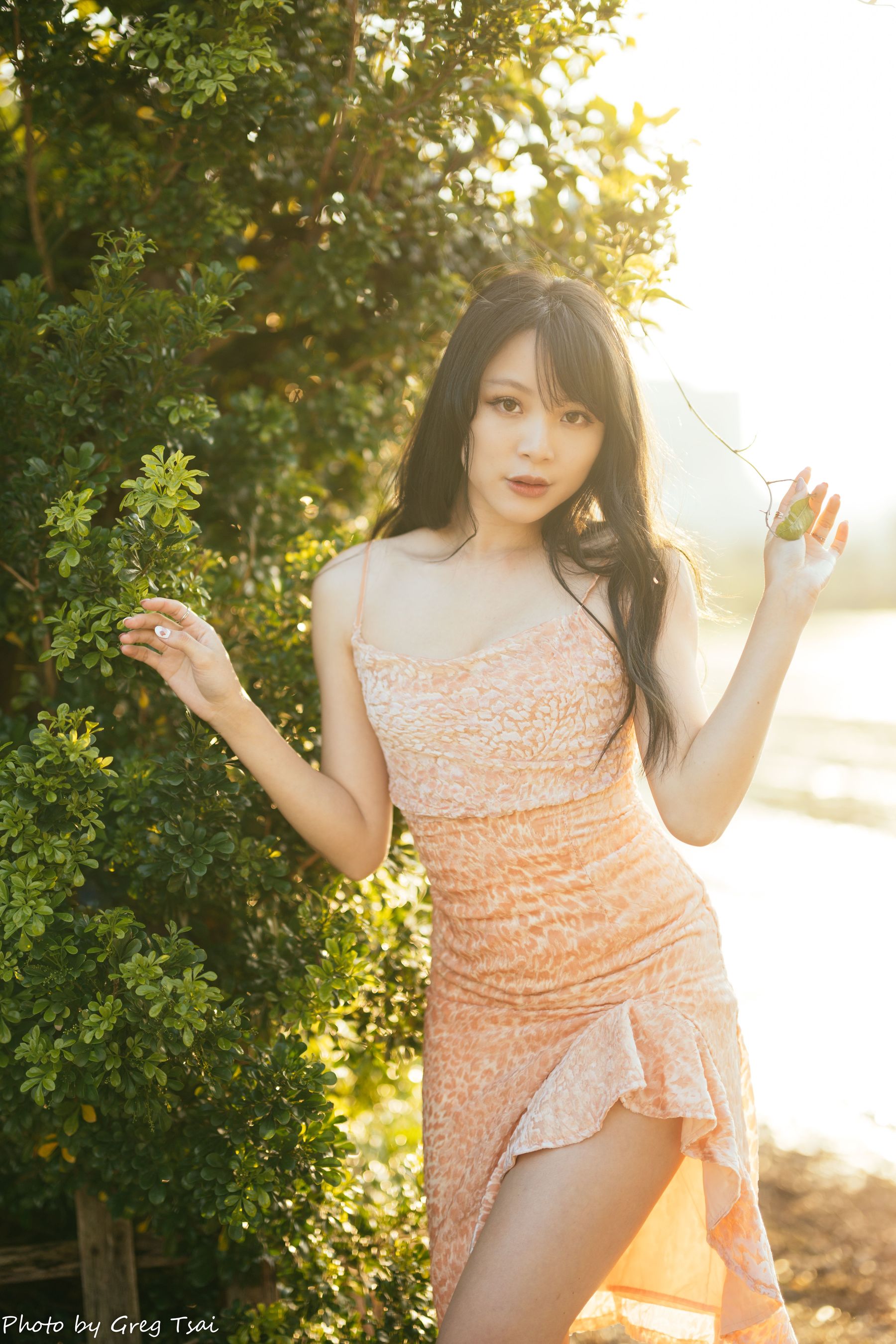 Ashley - 忠义/(87P)