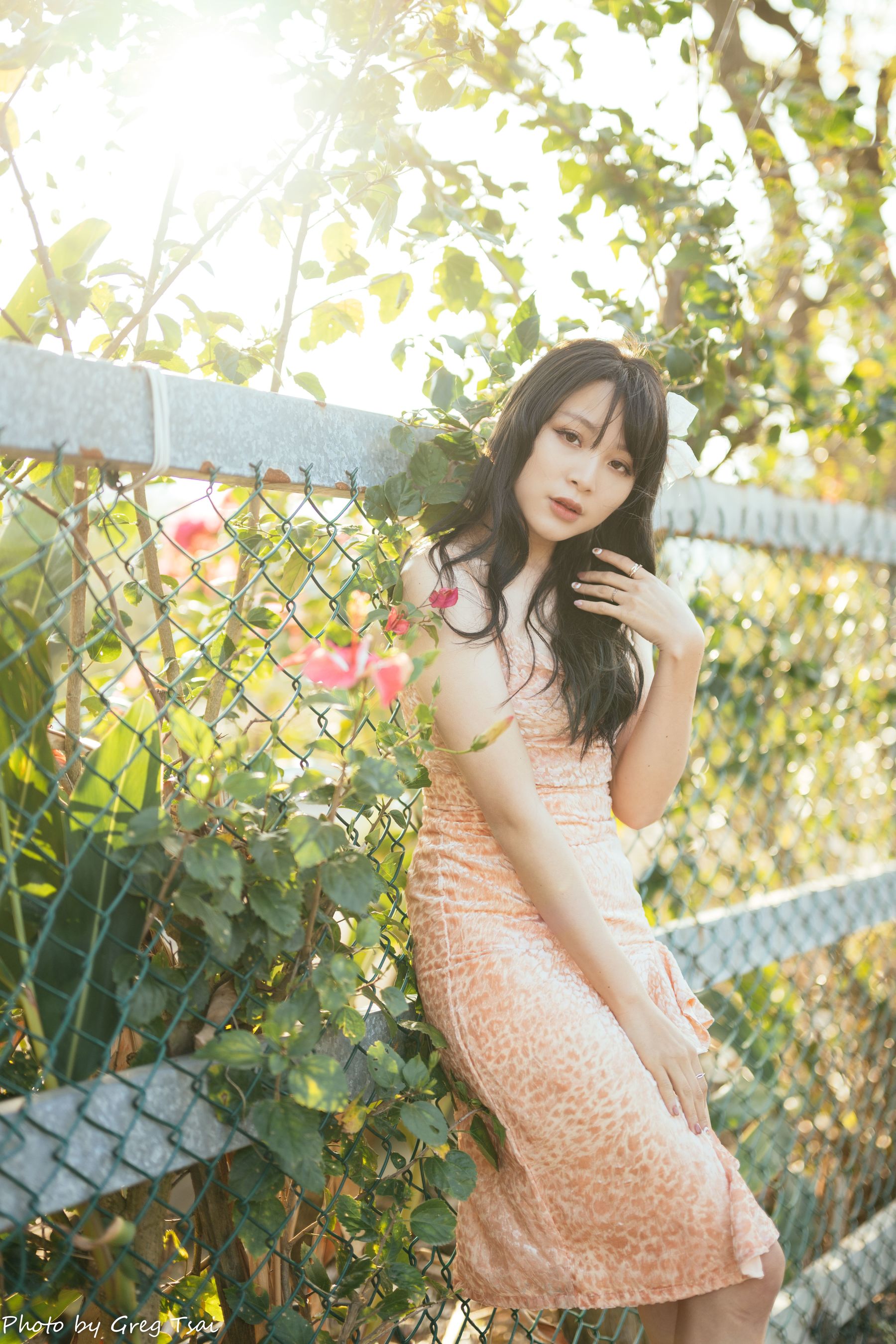 Ashley - 忠义/(87P)