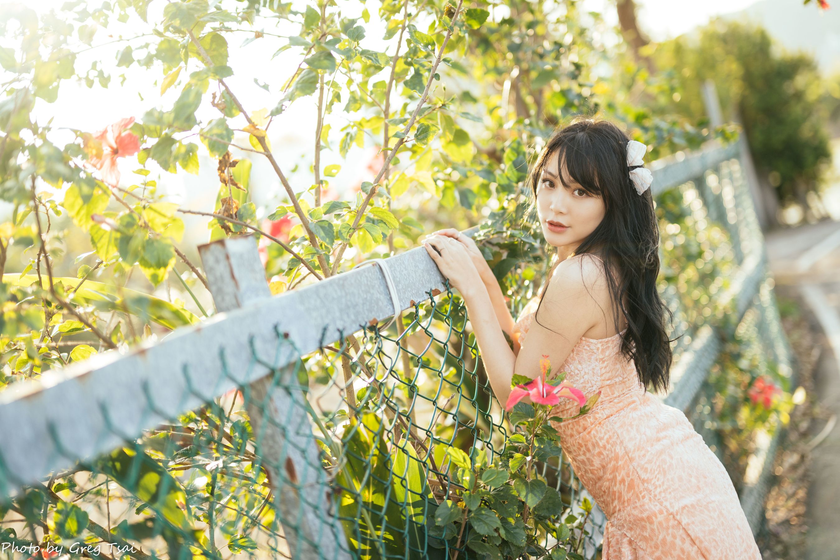 Ashley - 忠义/(87P)