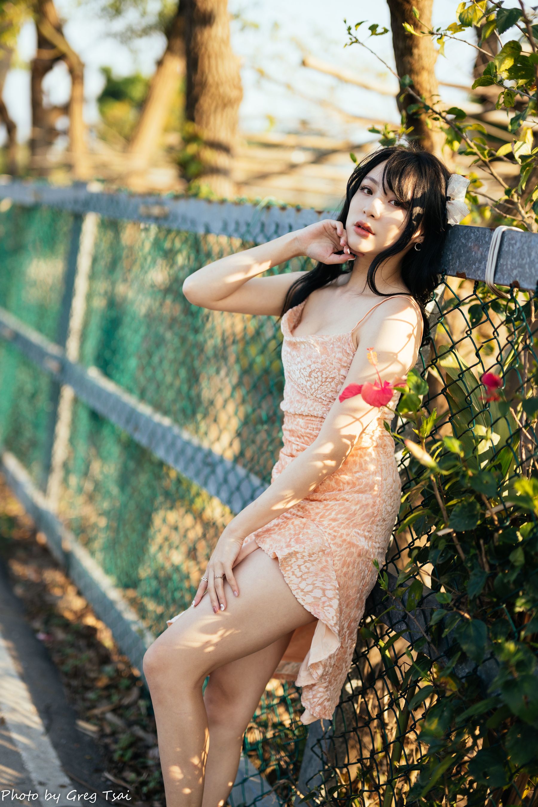 Ashley - 忠义/(87P)