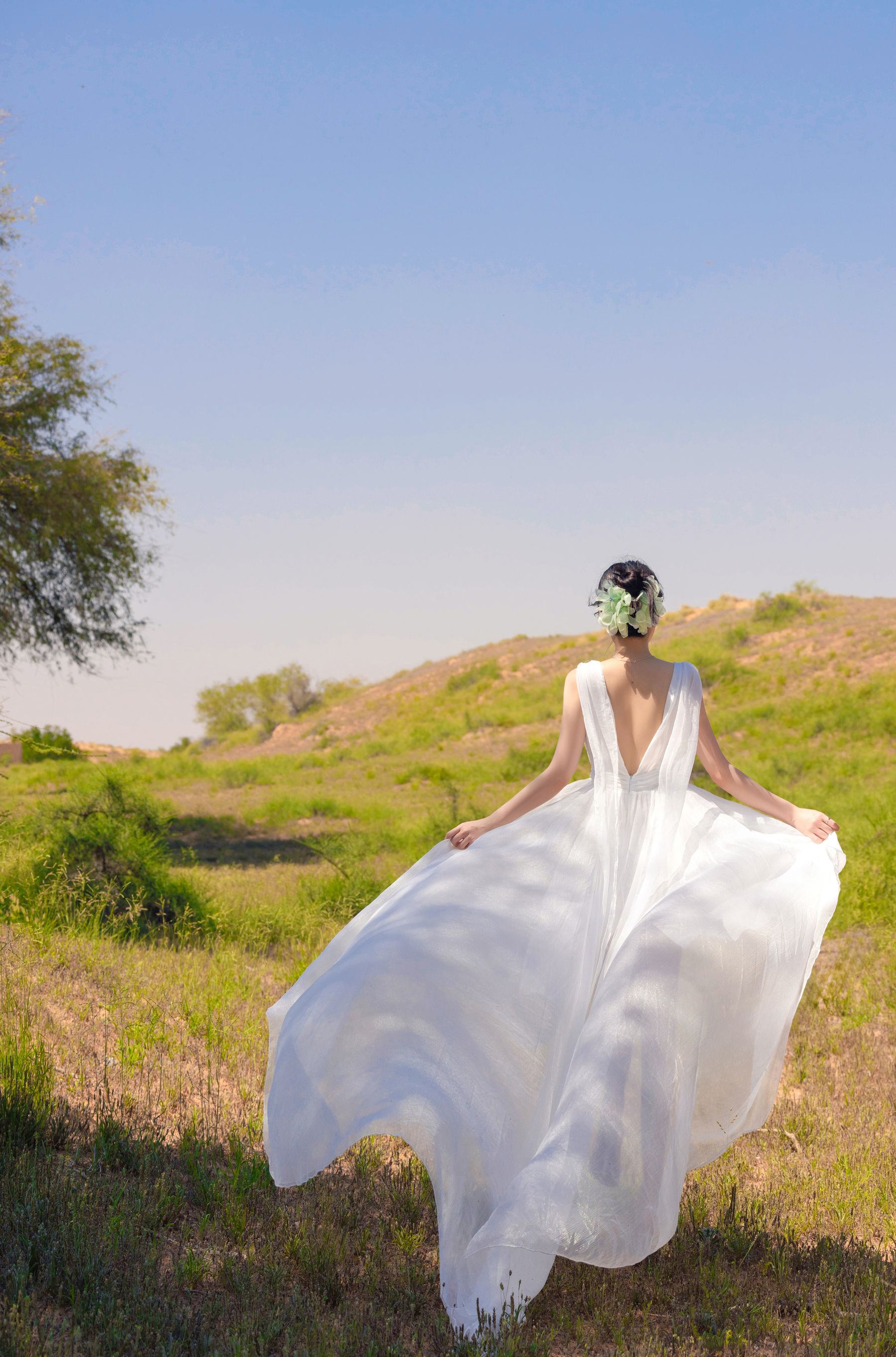 鱼子酱 沙漠之花写真/(50P)