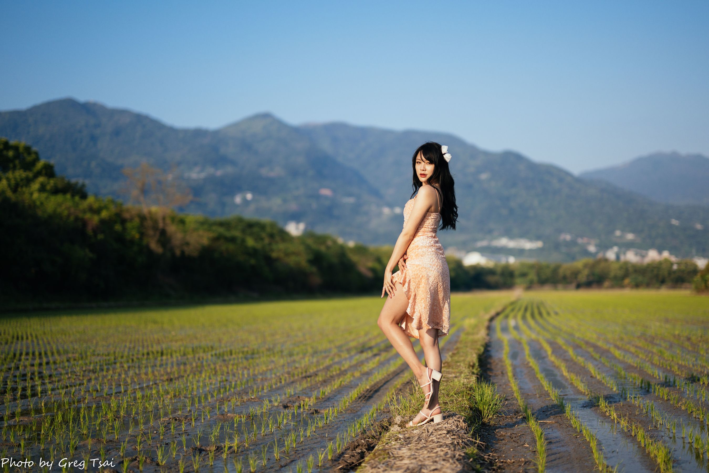 Ashley - 忠义/(87P)