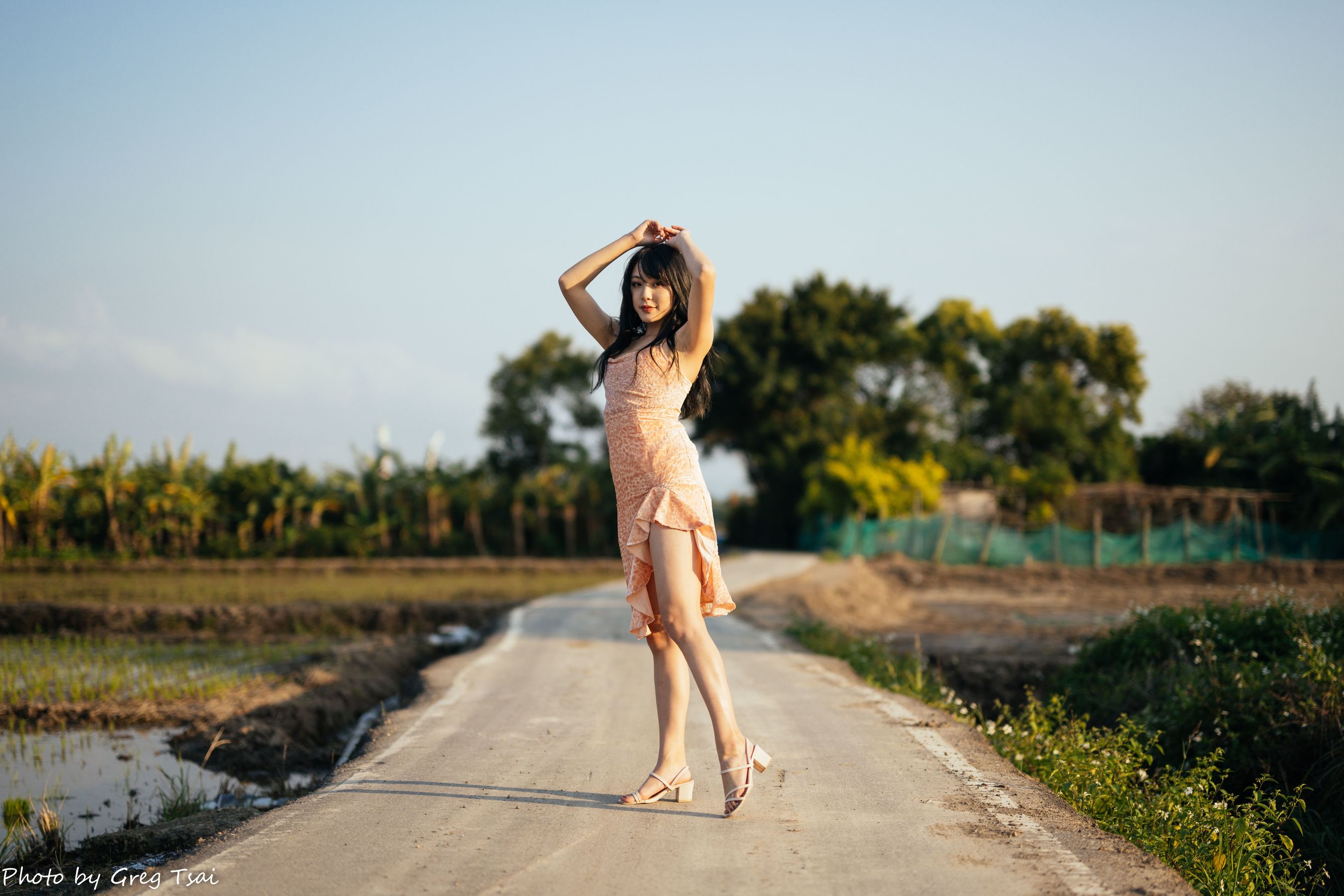 Ashley - 忠义/(87P)