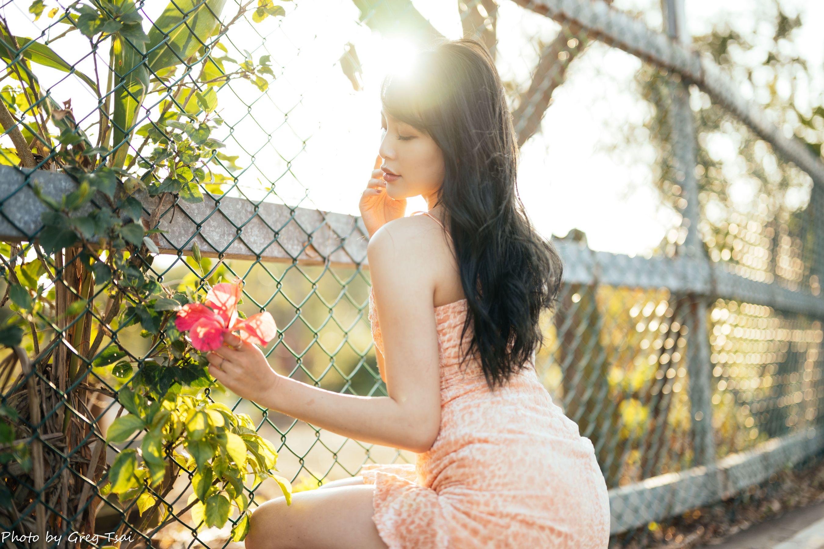 Ashley - 忠义/(87P)