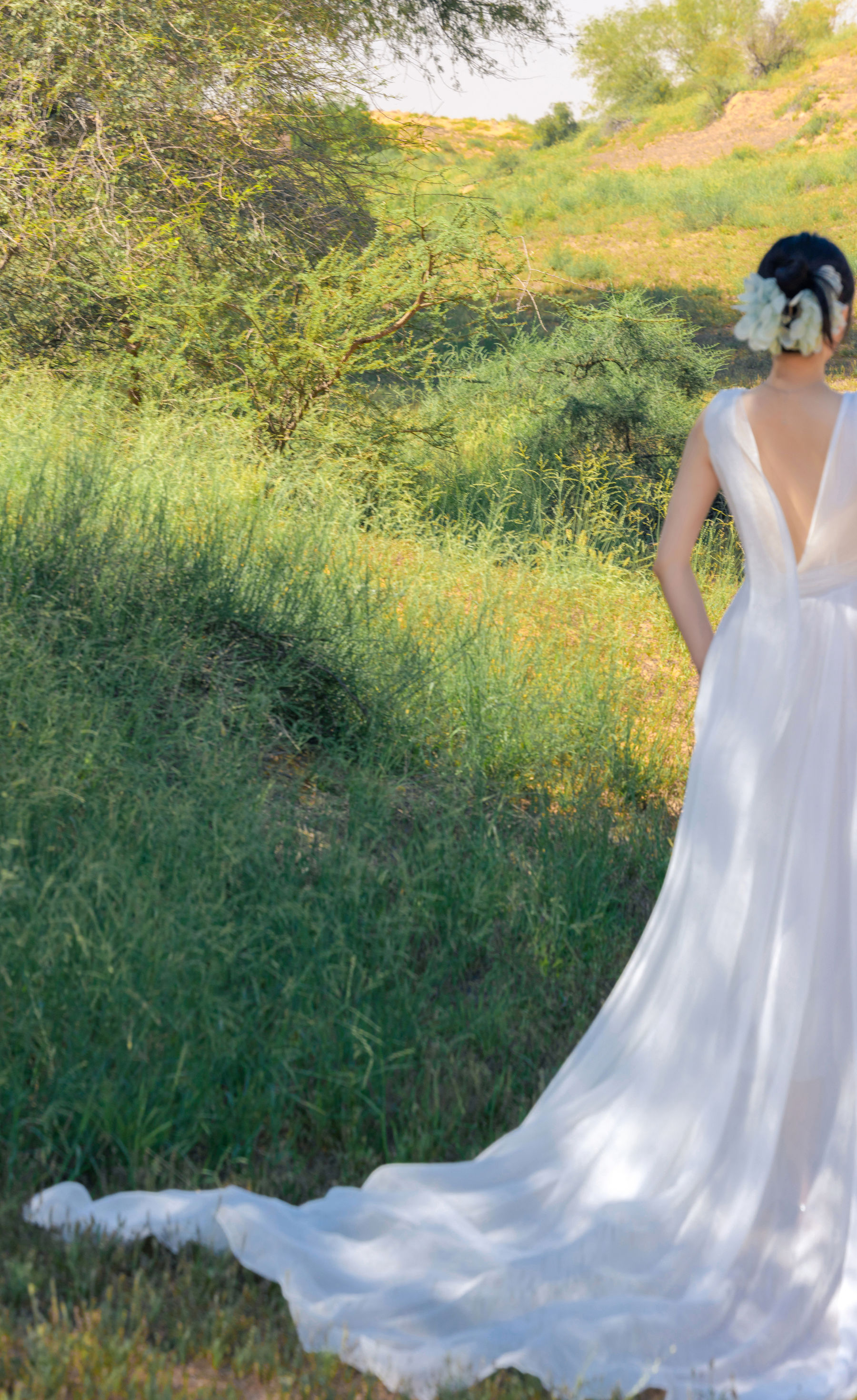 鱼子酱 沙漠之花写真/(50P)