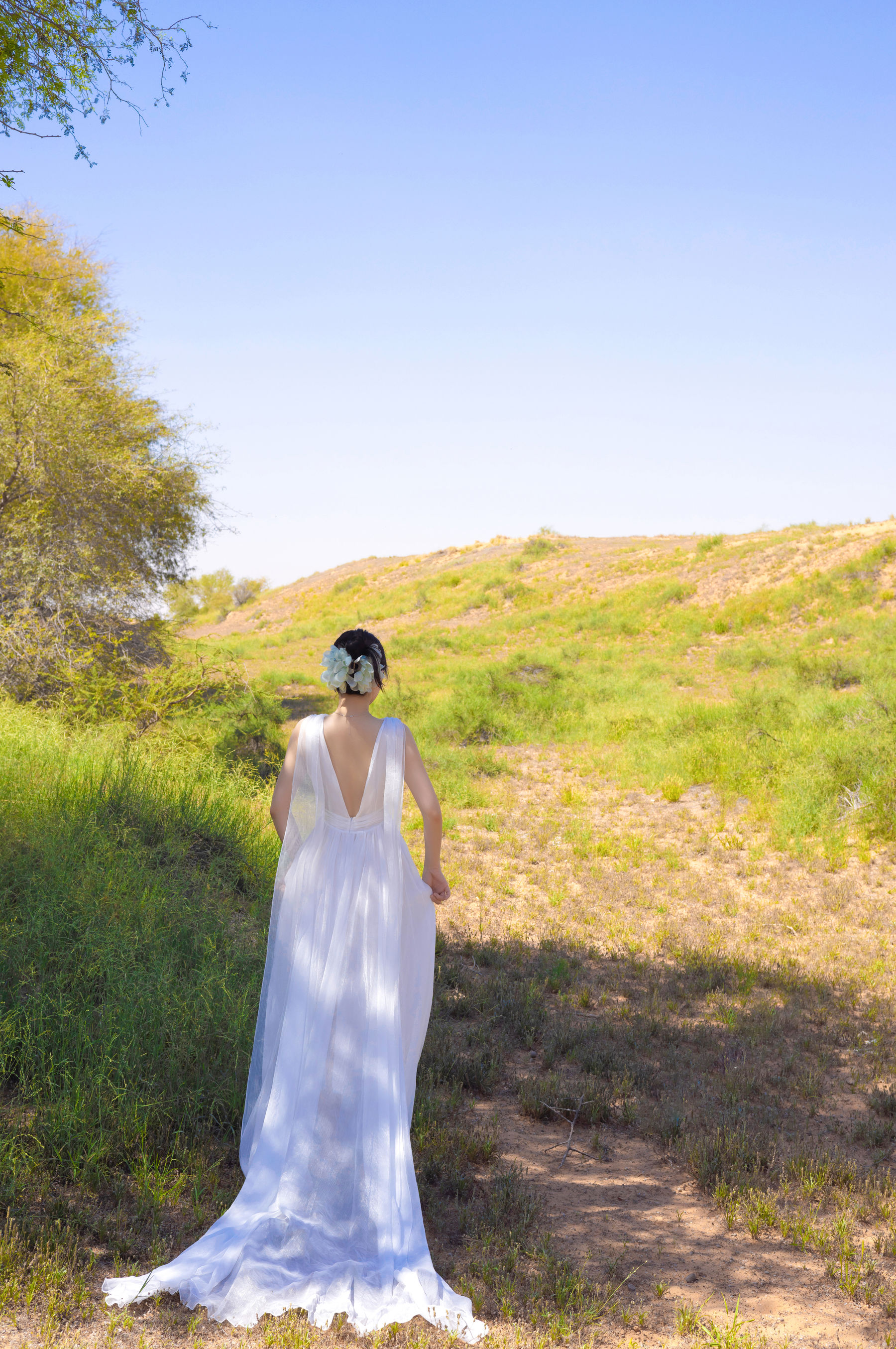 鱼子酱 沙漠之花写真/(50P)