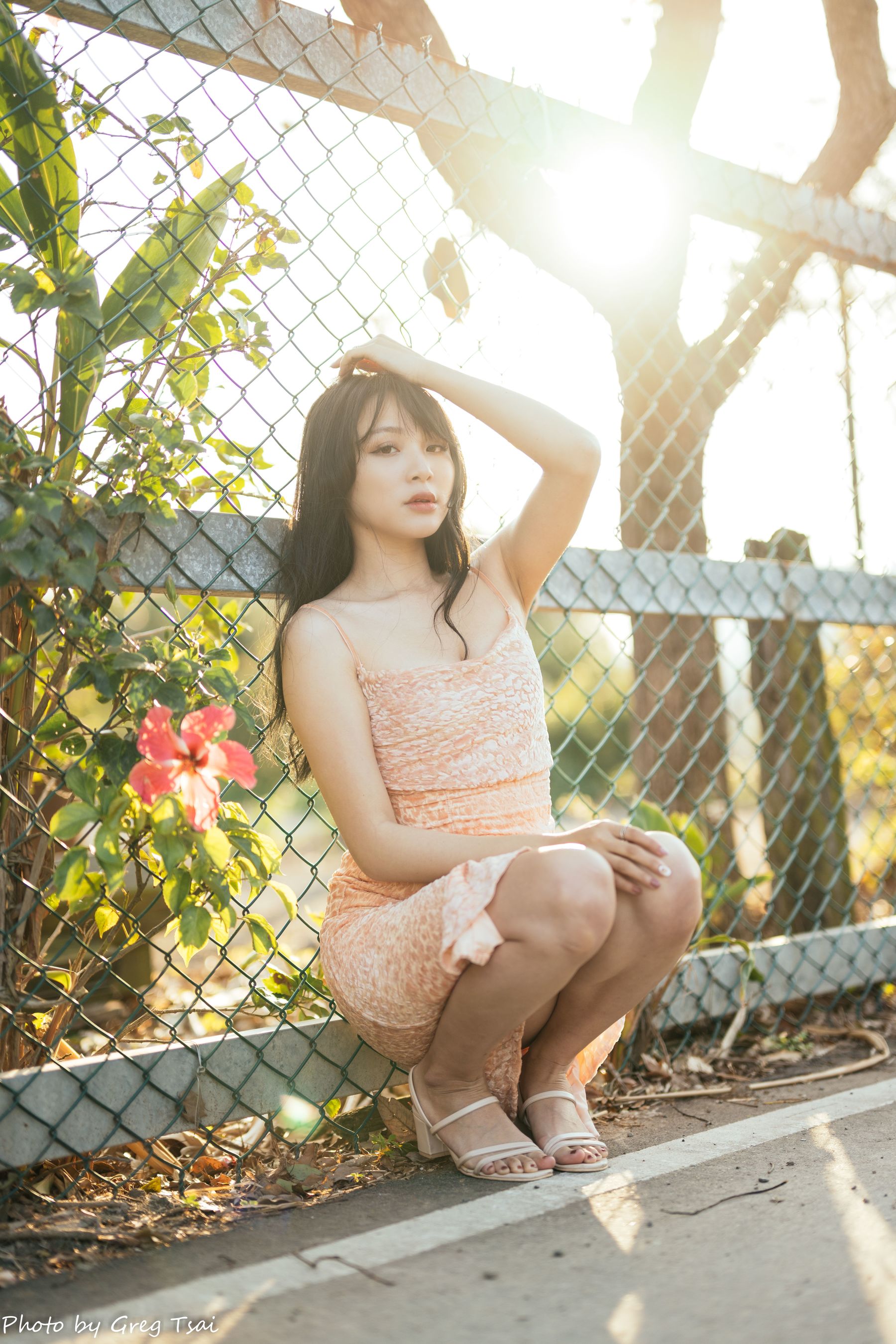 Ashley - 忠义/(87P)