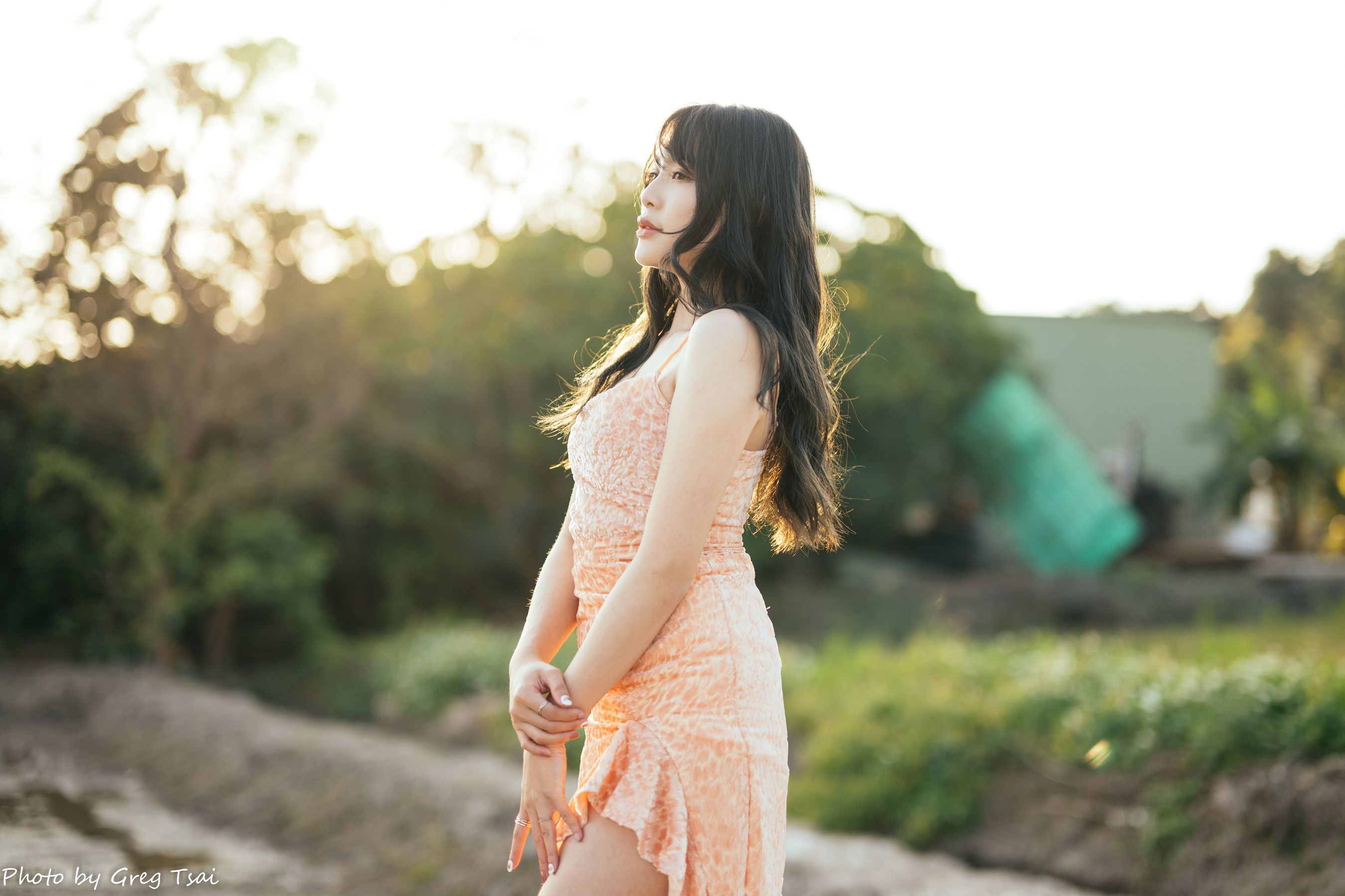Ashley - 忠义/(87P)