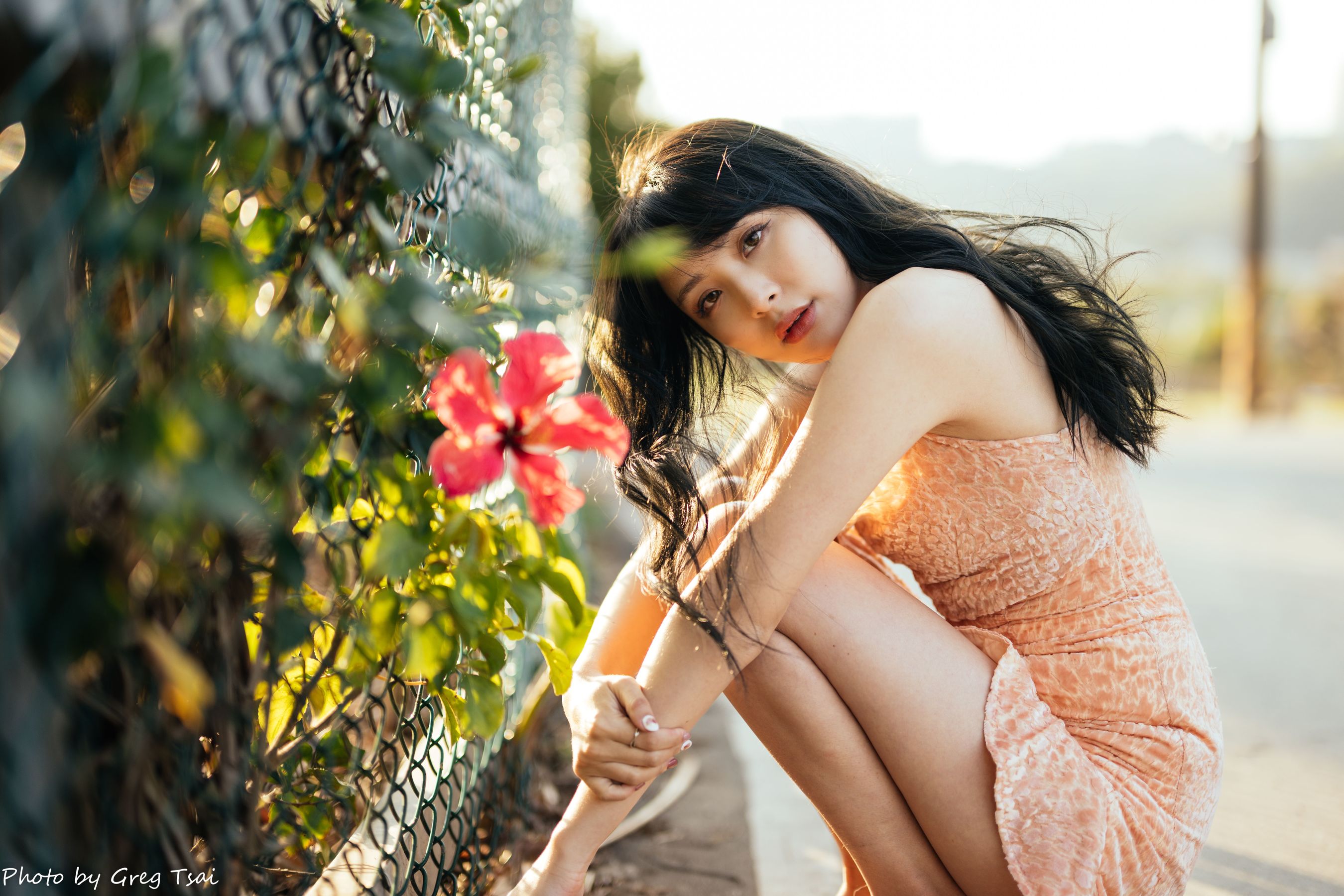 Ashley - 忠义/(87P)