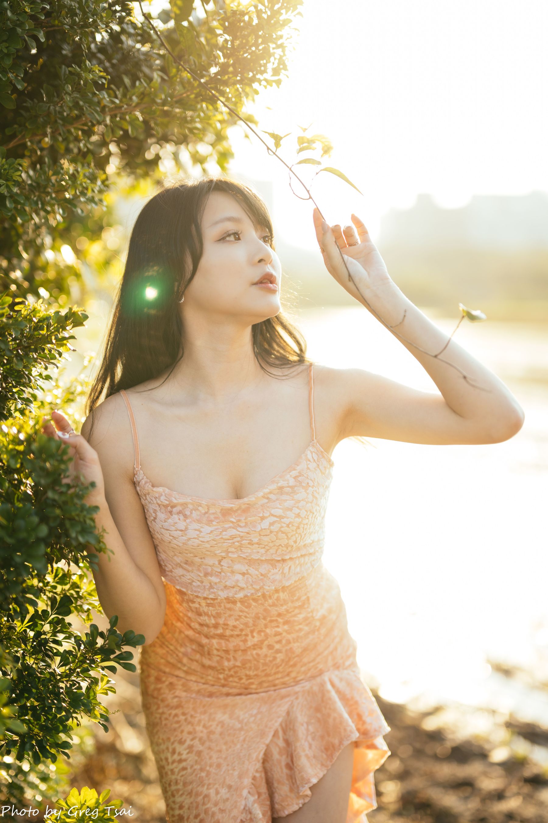 Ashley - 忠义/(87P)