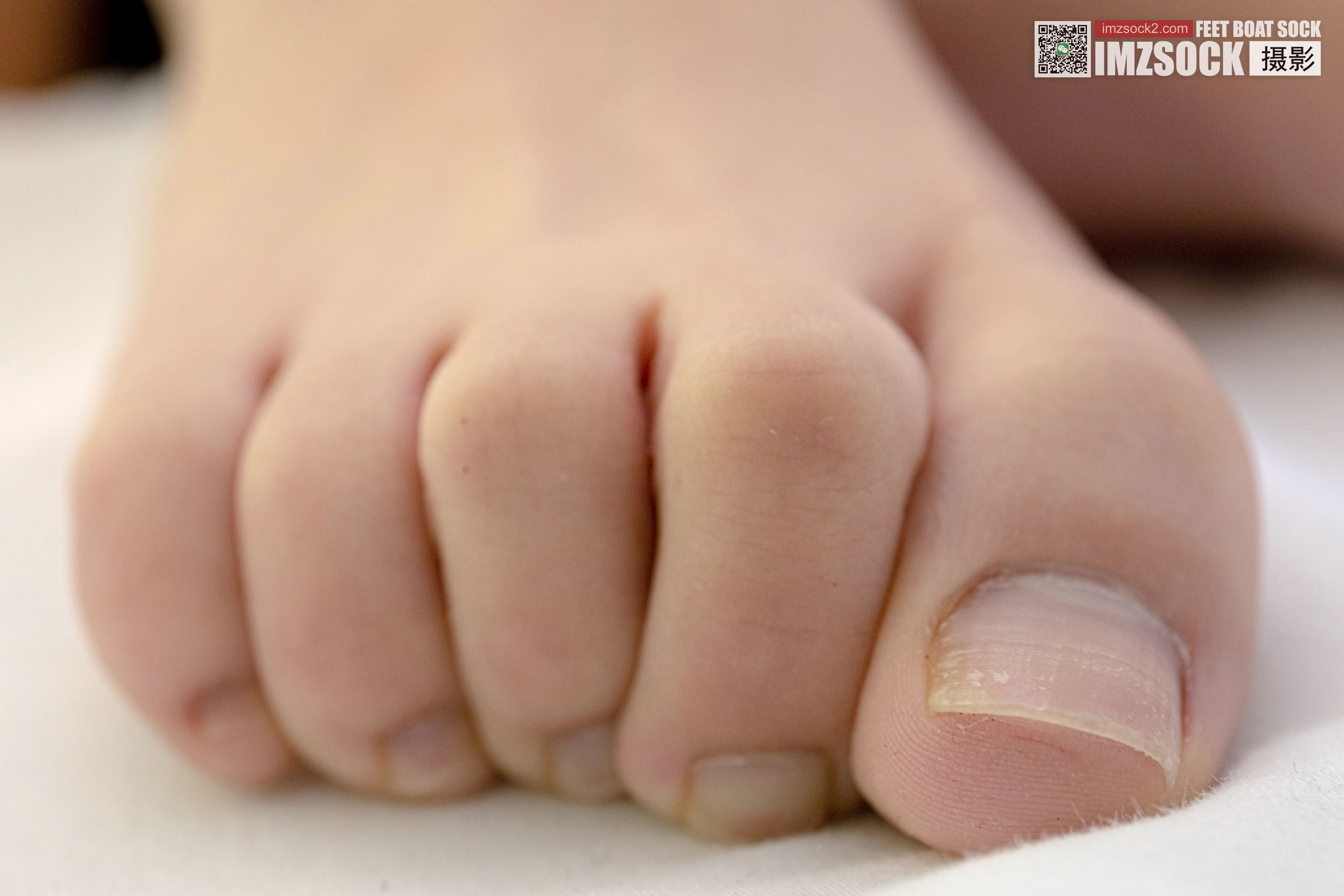 [MZSOCK]爱美足 No.093 安娜/(143P)
