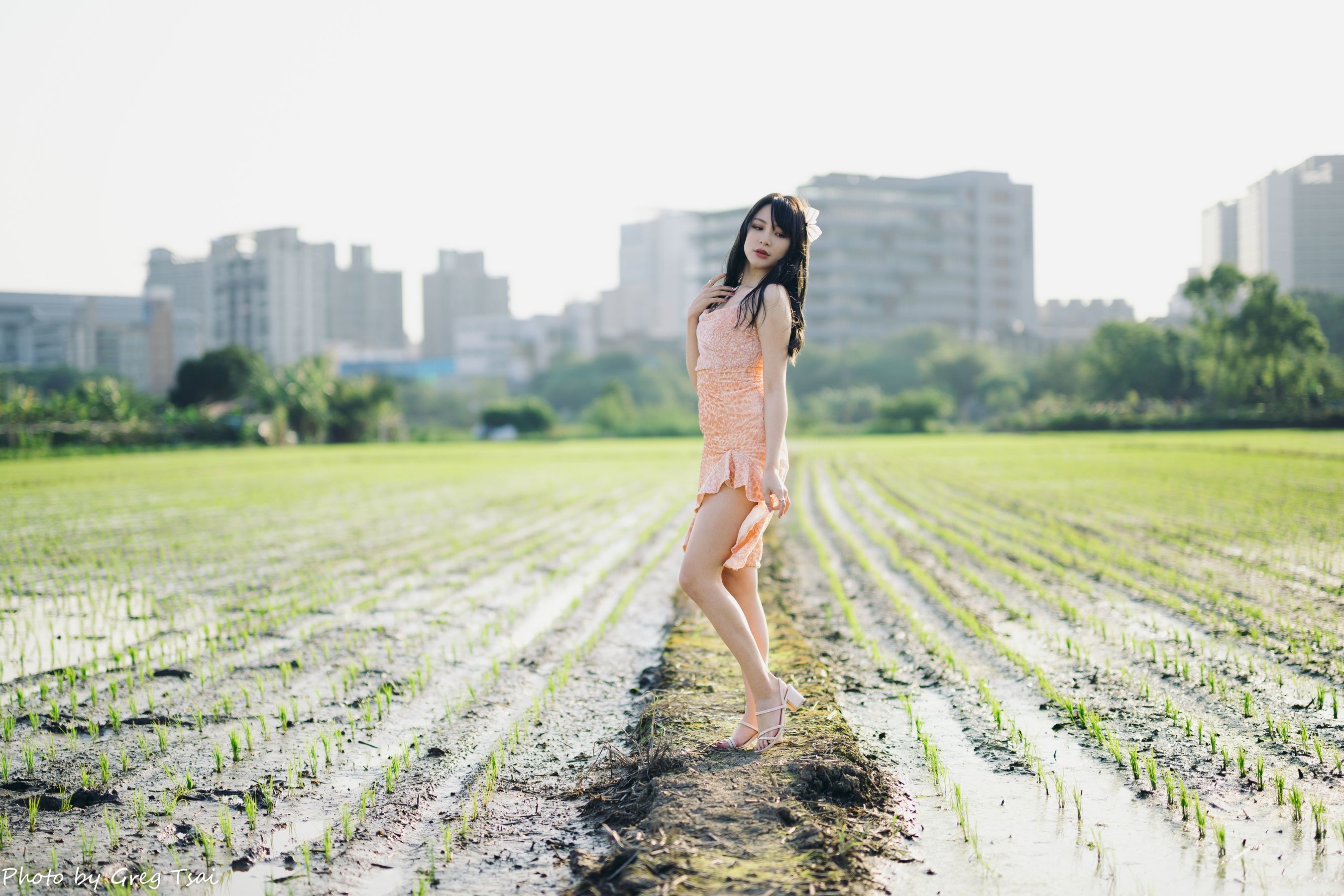 Ashley - 忠义/(87P)