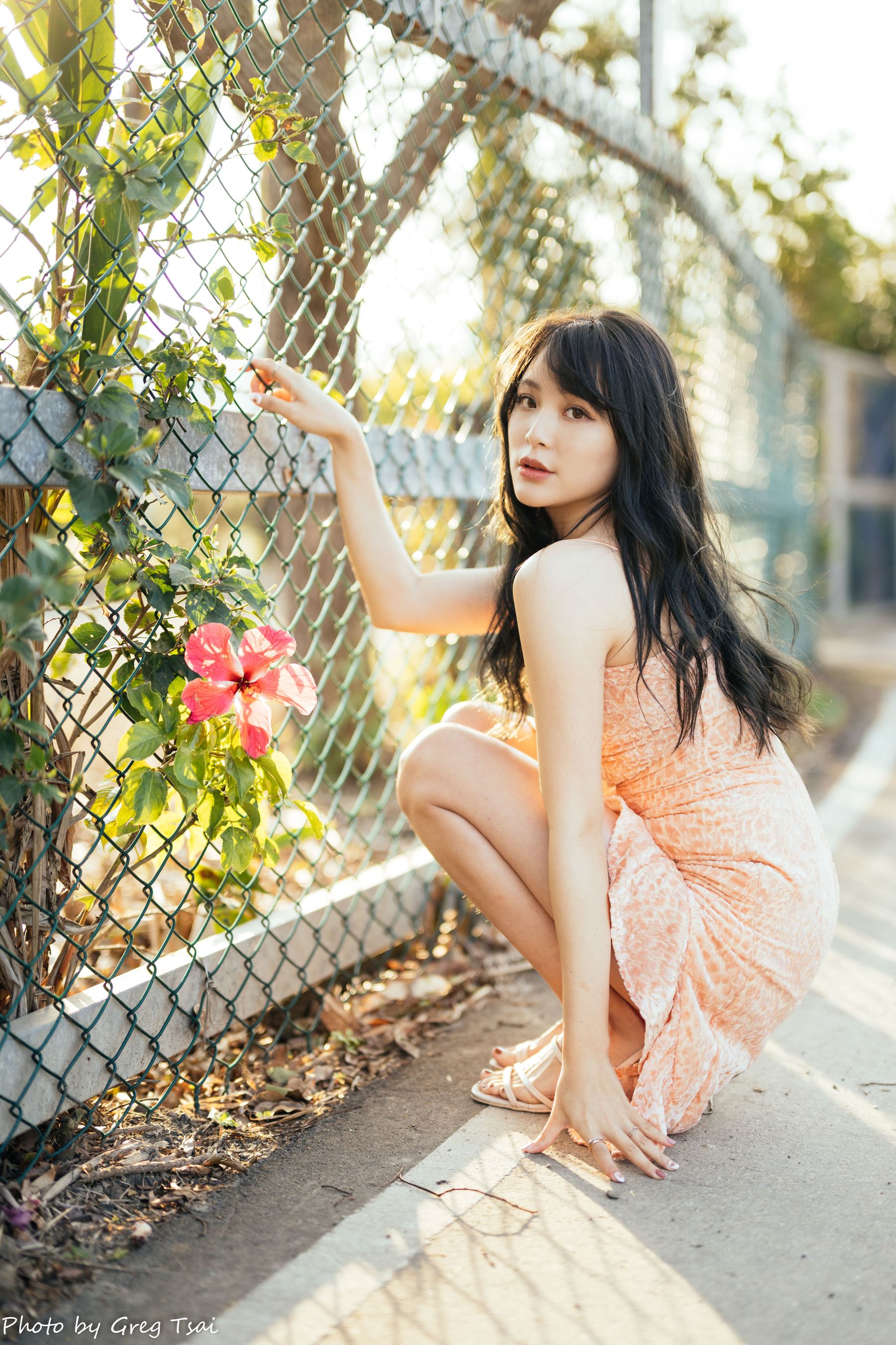 Ashley - 忠义/(87P)