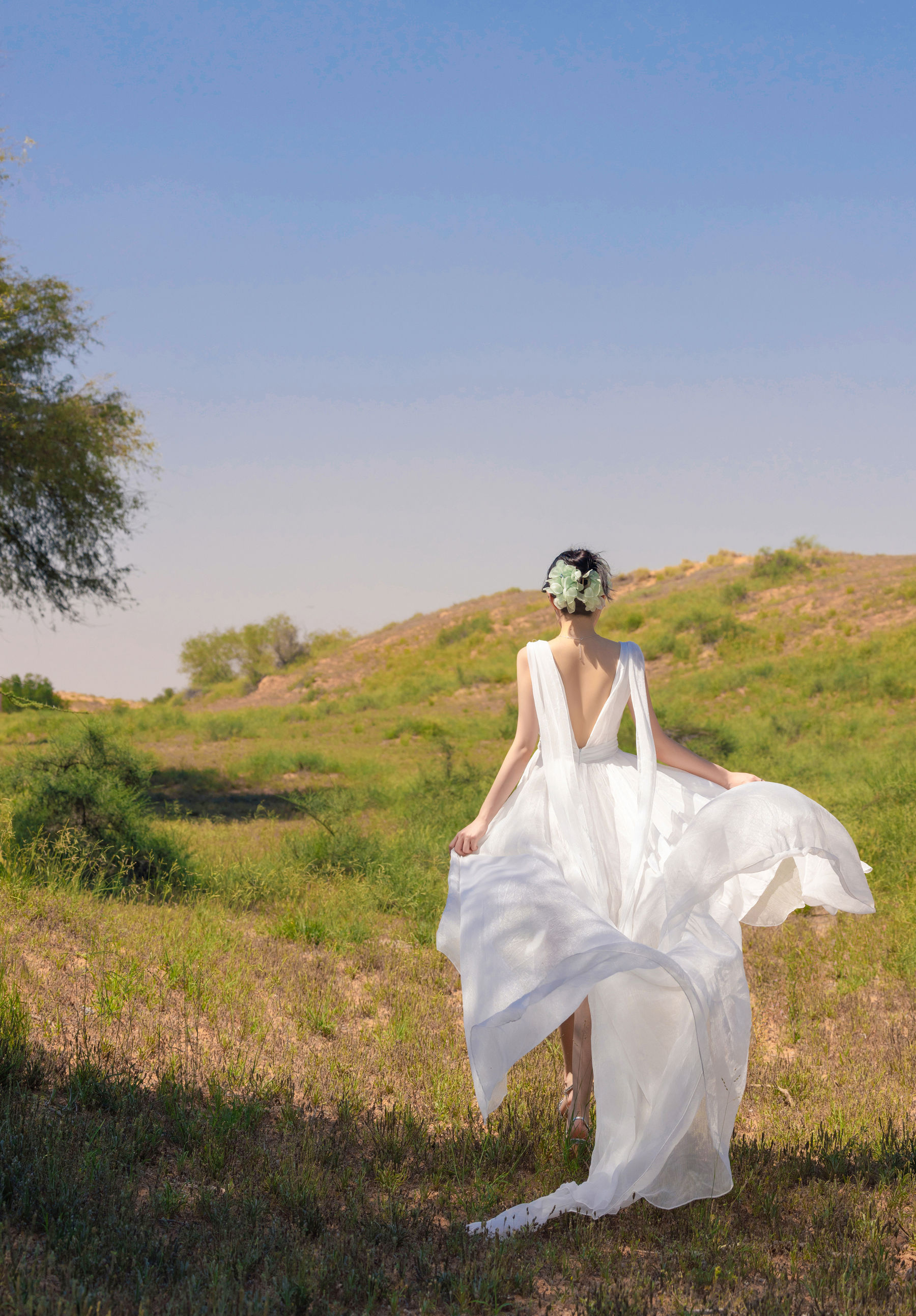 鱼子酱 沙漠之花写真/(50P)