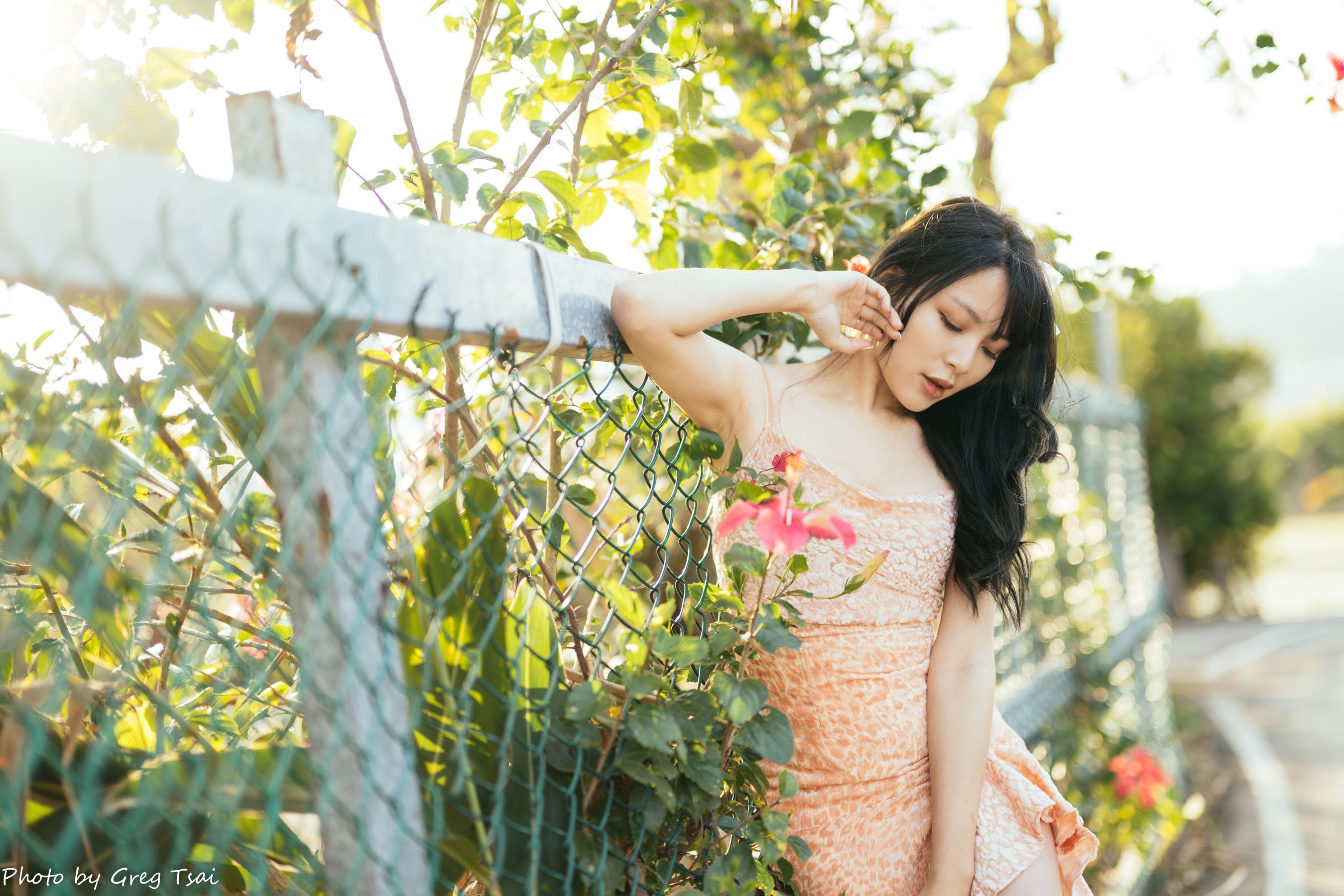 Ashley - 忠义/(87P)