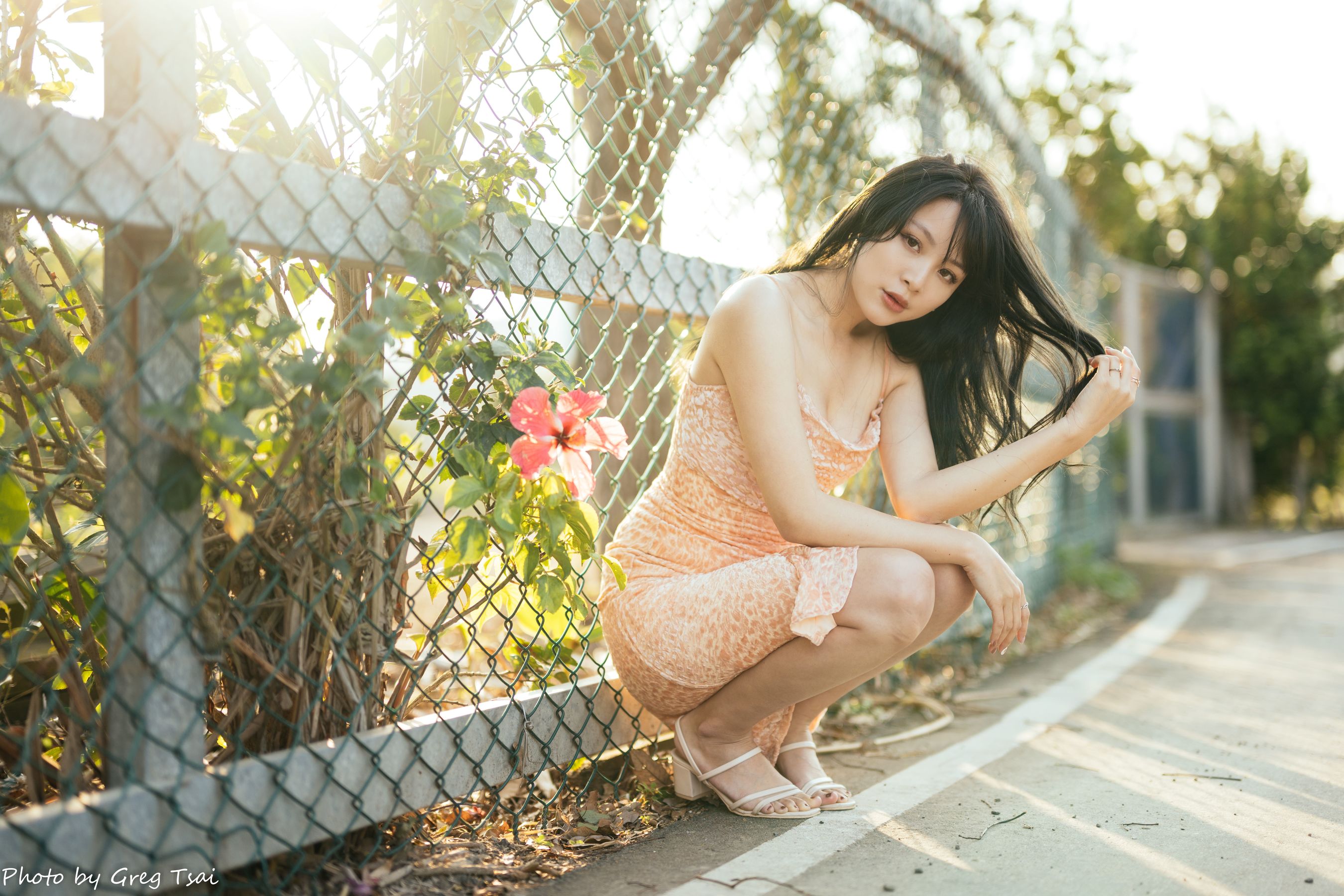 Ashley - 忠义/(87P)