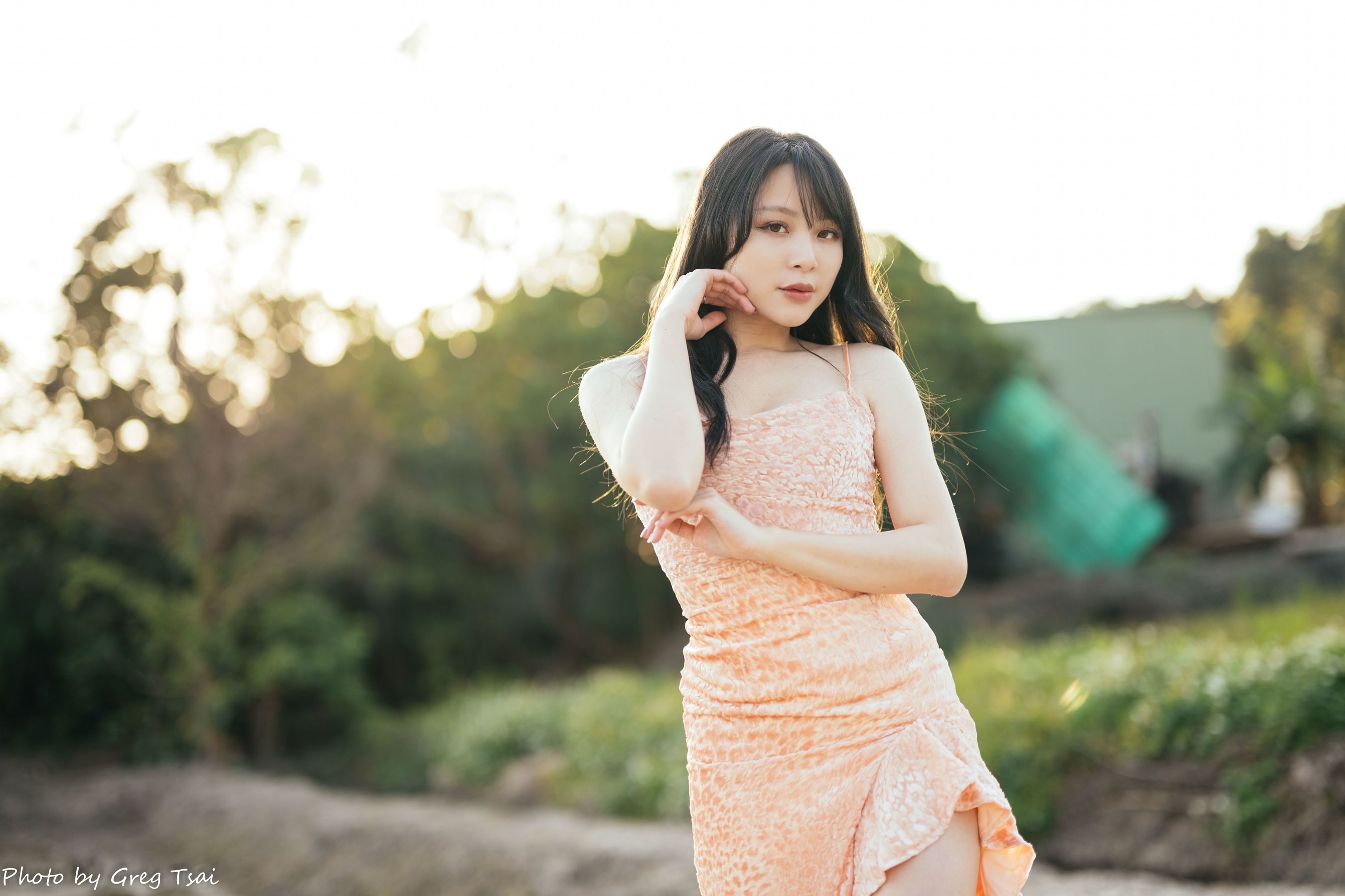 Ashley - 忠义/(87P)